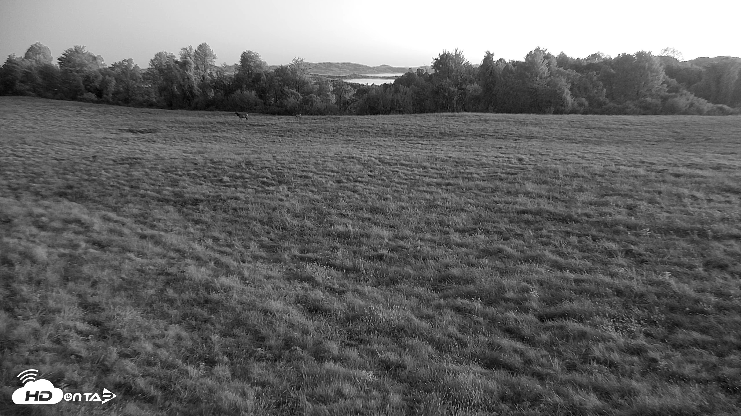 Snapshot of Tennessee Elk Live Webcam taken Oct 7, 2026, 7:14am EDT