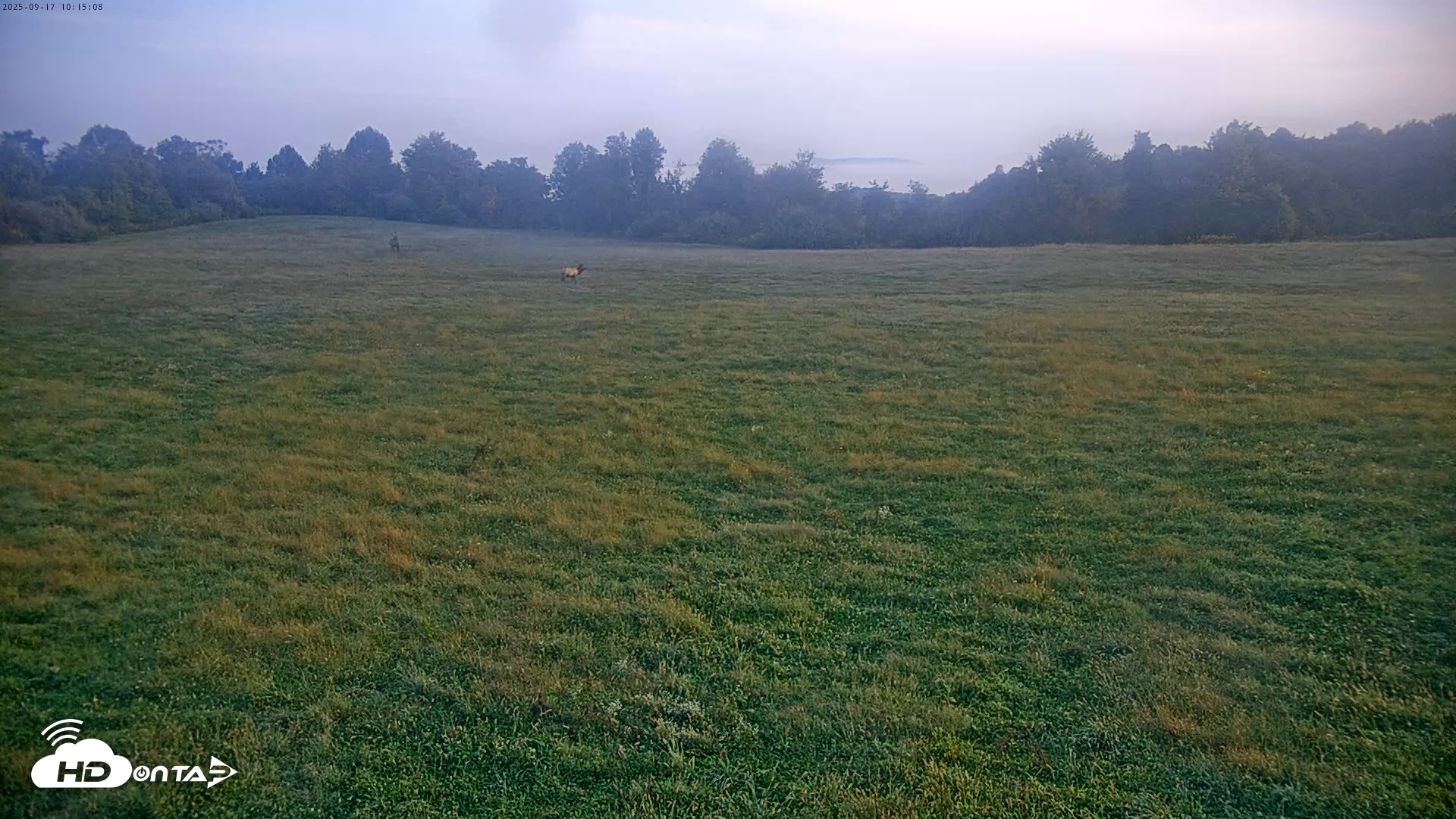 Snapshot of Tennessee Elk Live Webcam taken Sep 17, 2025, 7:50am EDT