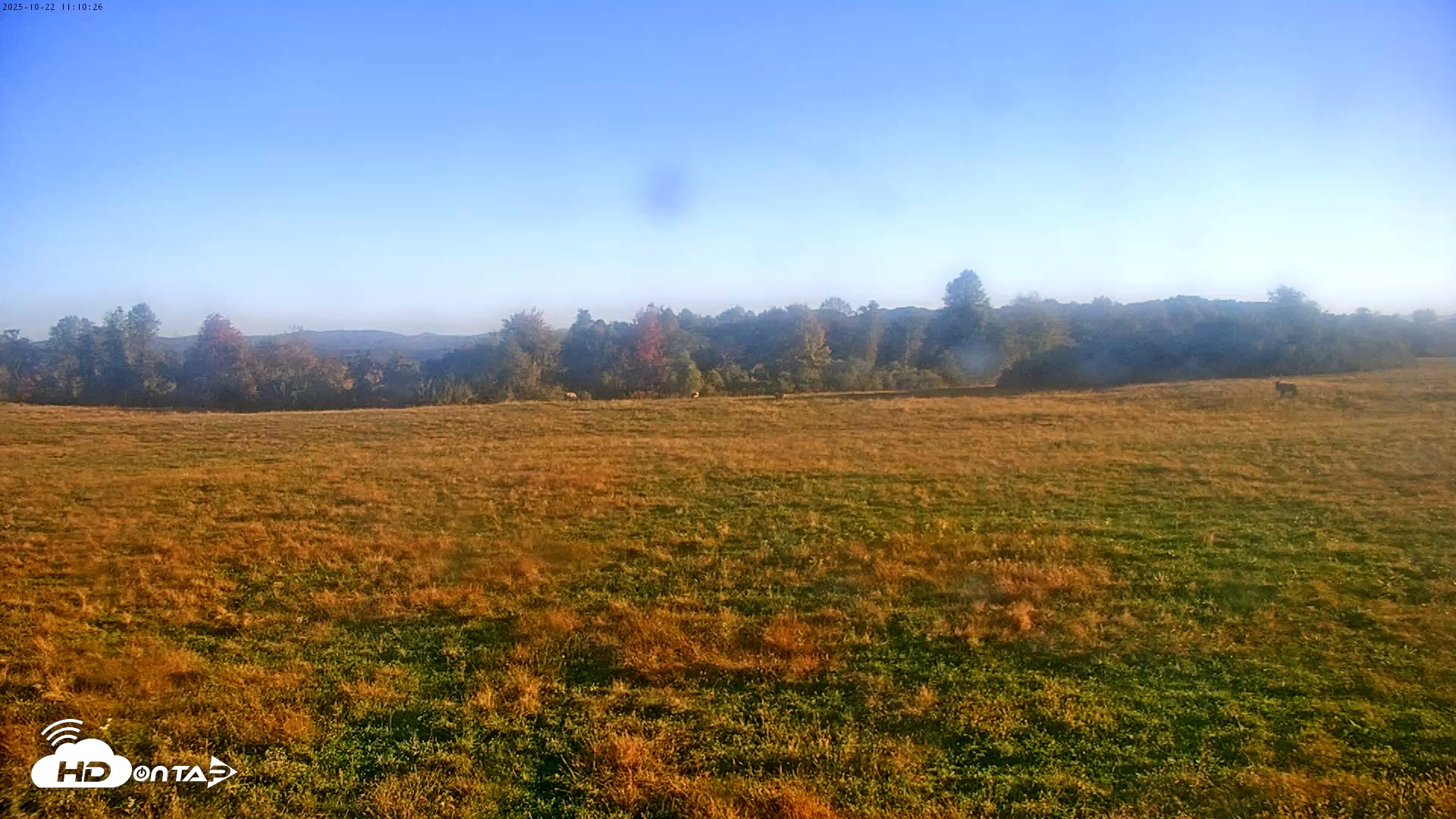 Snapshot of Tennessee Elk Live Webcam taken Oct 22, 2025, 8:46am EDT