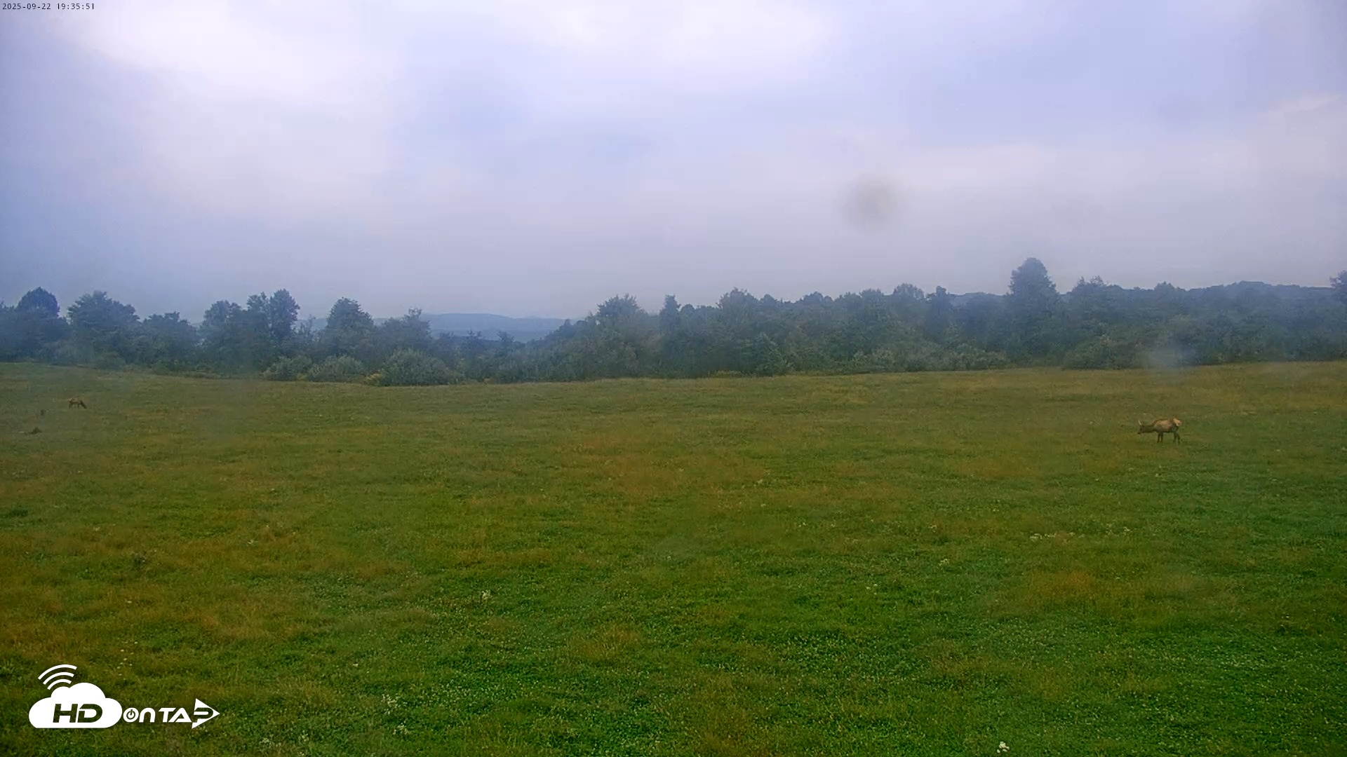 Snapshot of Tennessee Elk Live Webcam taken Sep 22, 2025, 5:11pm EDT