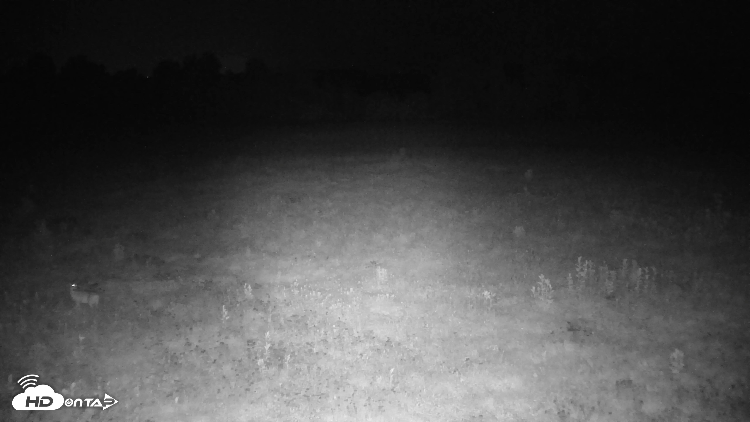 Snapshot of Tennessee Elk Live Webcam taken Jul 10, 2026, 12:41am EDT