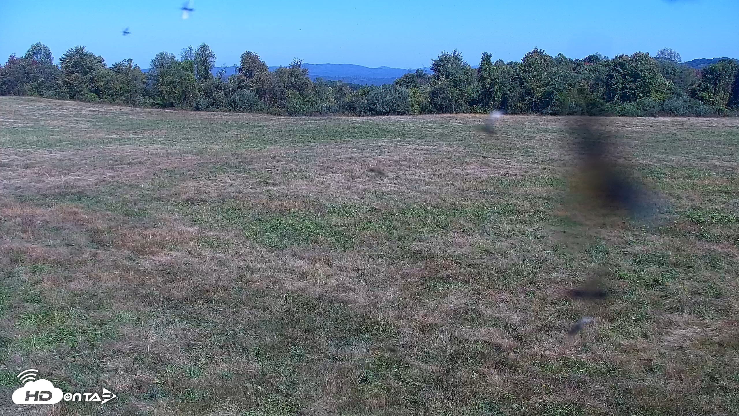 Snapshot of Tennessee Elk Live Webcam taken Oct 13, 2026, 12:38pm EDT