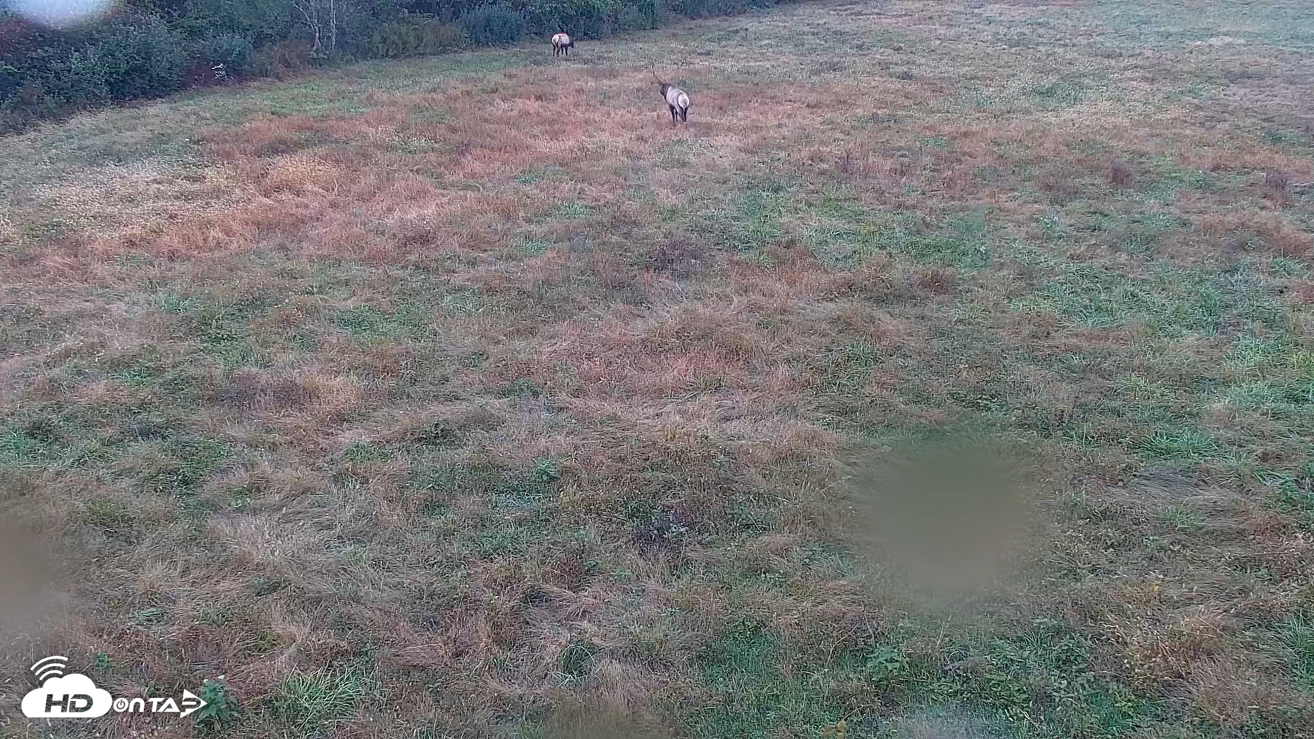 Snapshot of Tennessee Elk Live Webcam taken Oct 17, 2026, 8:36am EDT