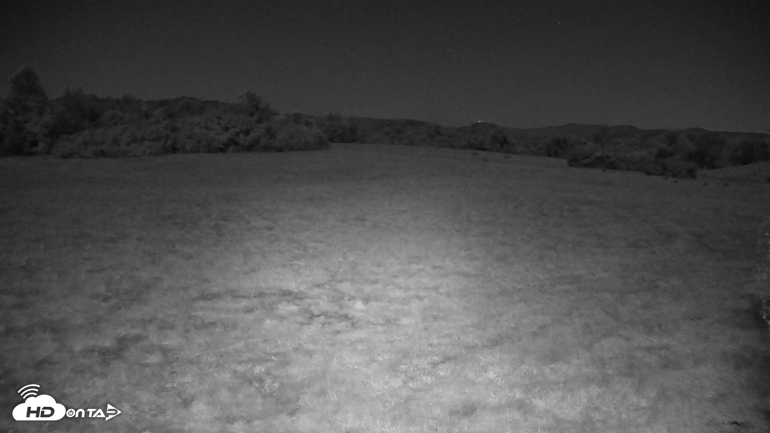 Snapshot of Tennessee Elk Live Webcam taken Oct 26, 2026, 4:25am EDT
