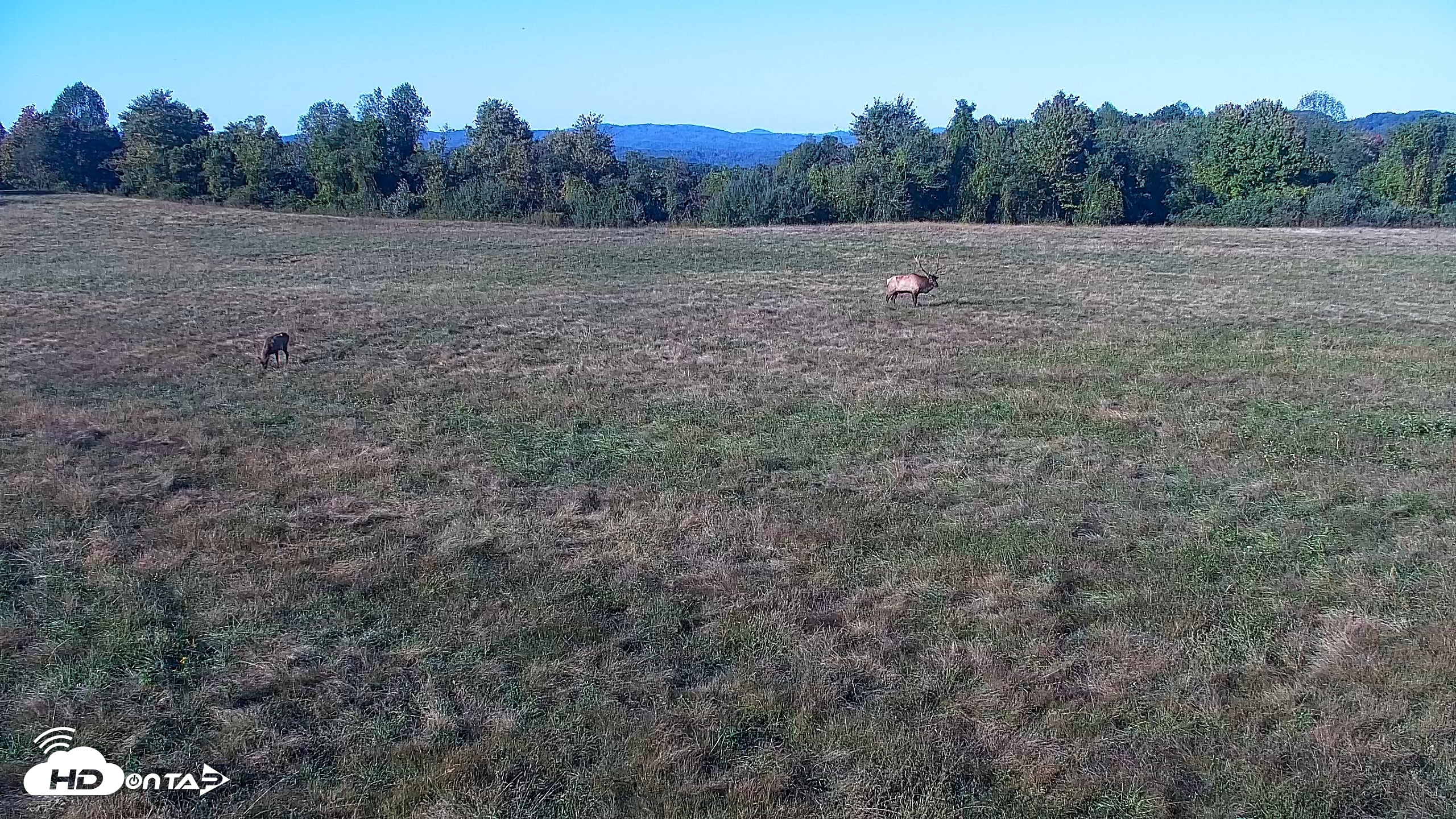 Snapshot of Tennessee Elk Live Webcam taken Oct 8, 2026, 5:24pm EDT