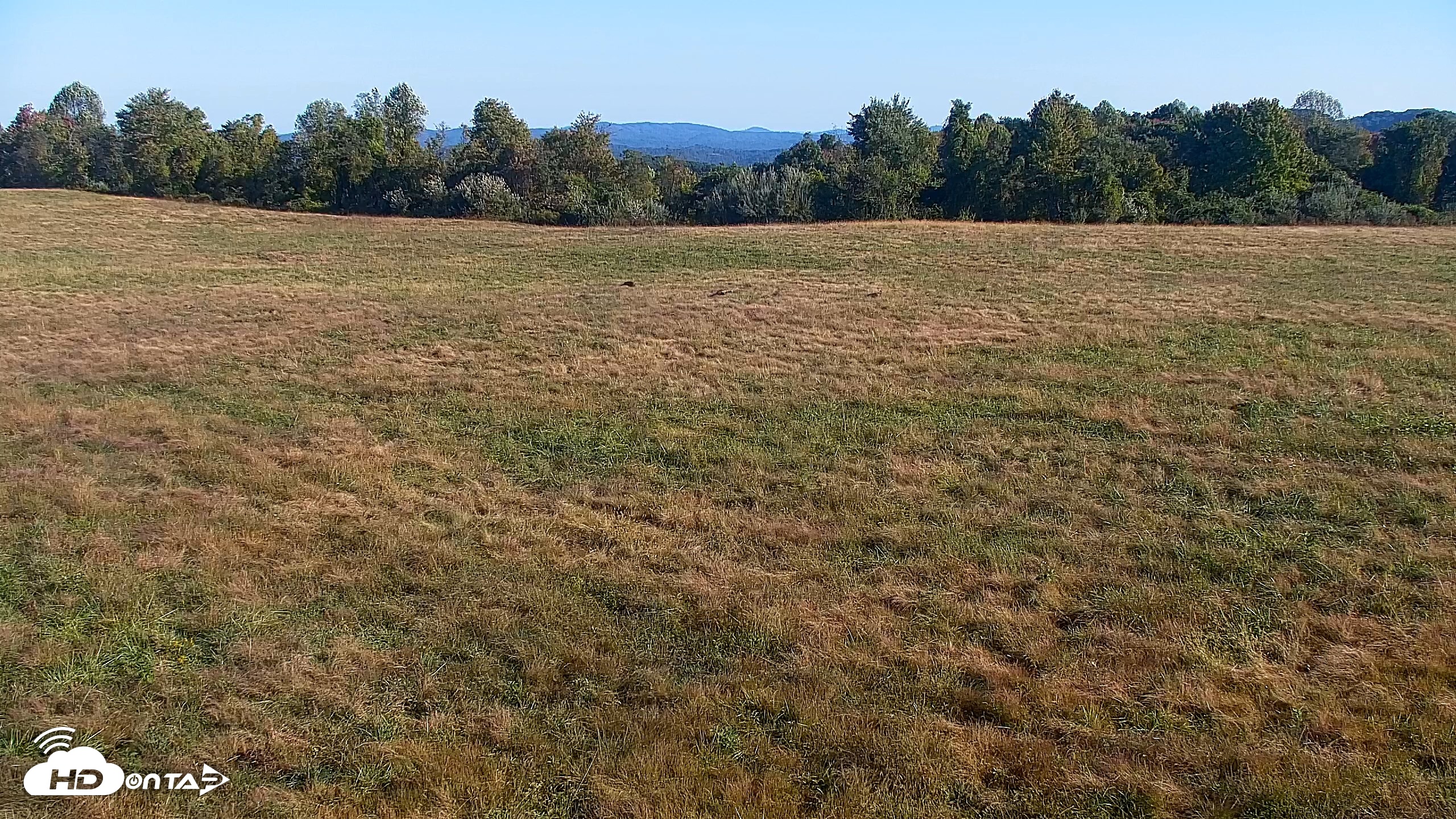 Snapshot of Tennessee Elk Live Webcam taken Oct 7, 2026, 9:52am EDT