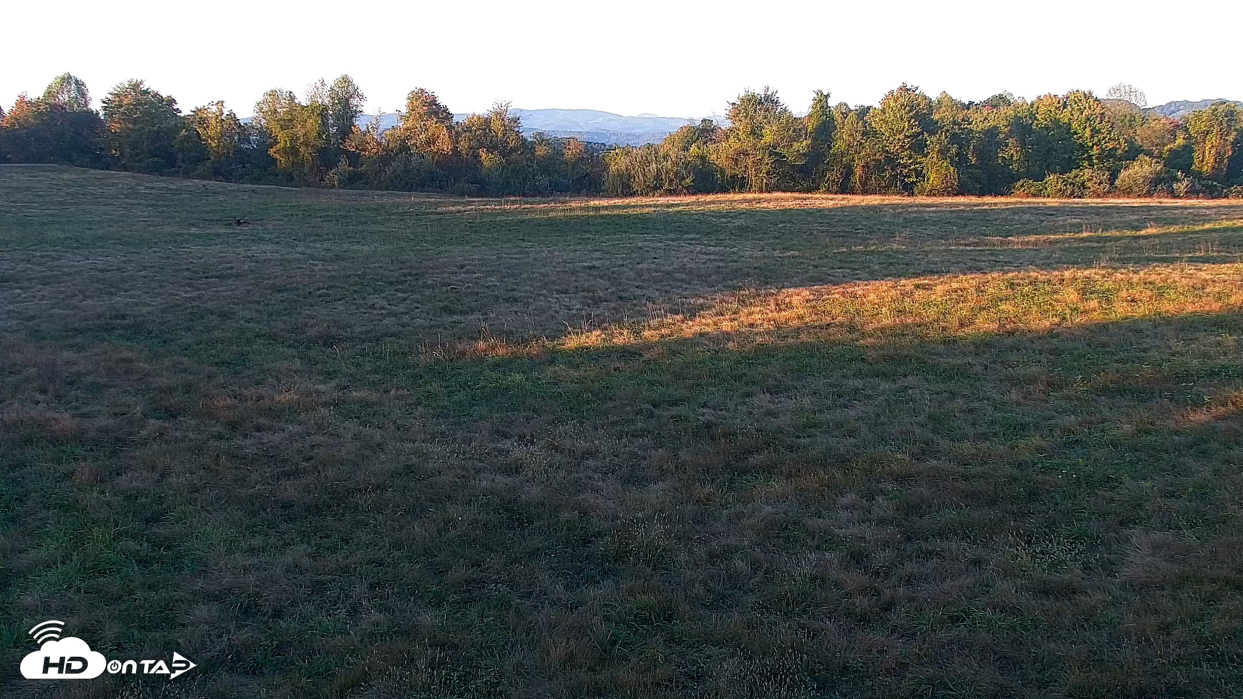 Snapshot of Tennessee Elk Live Webcam taken Oct 13, 2026, 6:36pm EDT