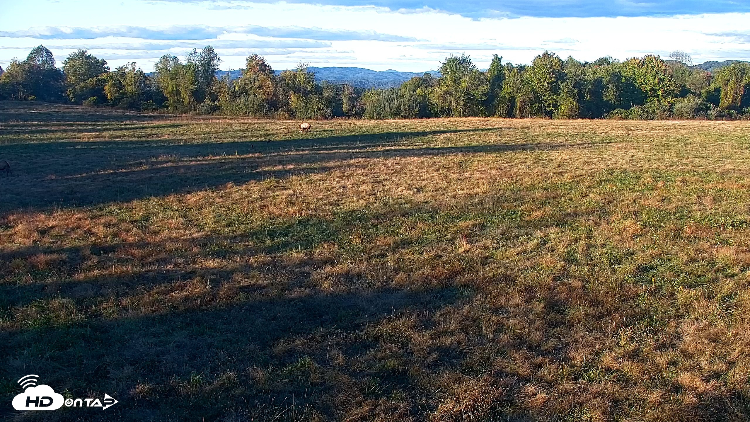 Snapshot of Tennessee Elk Live Webcam taken Oct 17, 2026, 6:13pm EDT