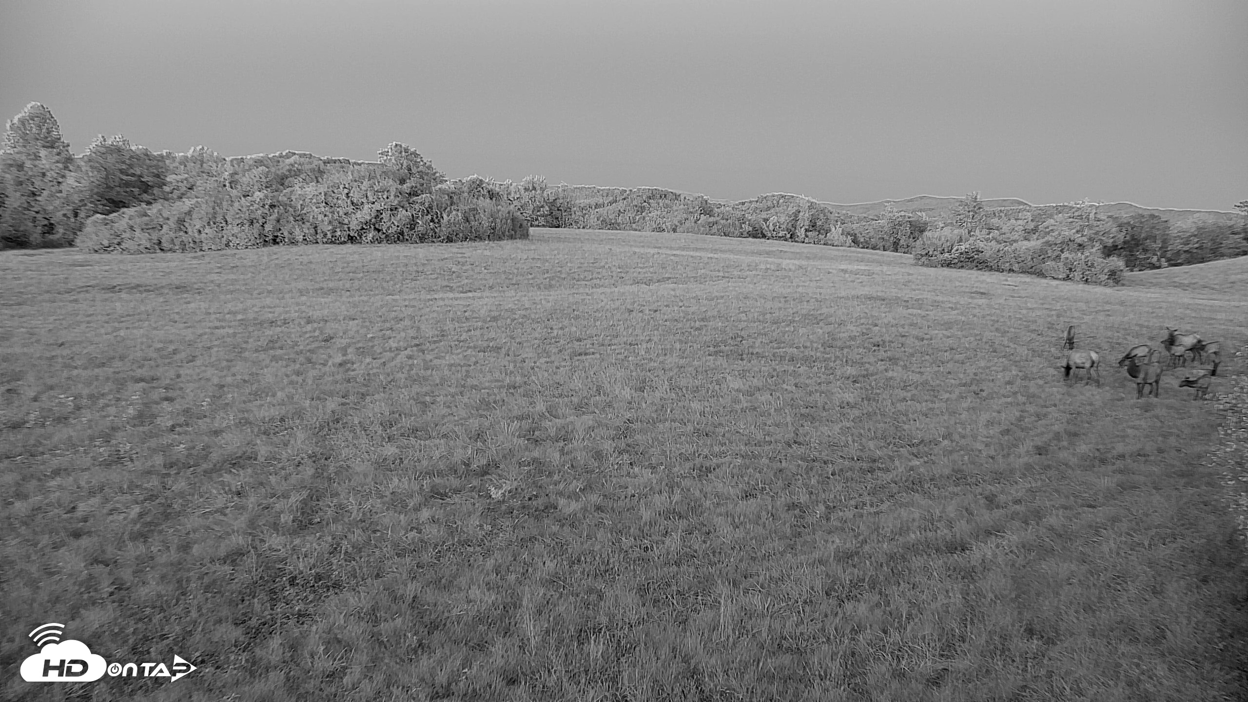 Snapshot of Tennessee Elk Live Webcam taken Oct 7, 2026, 7:26pm EDT