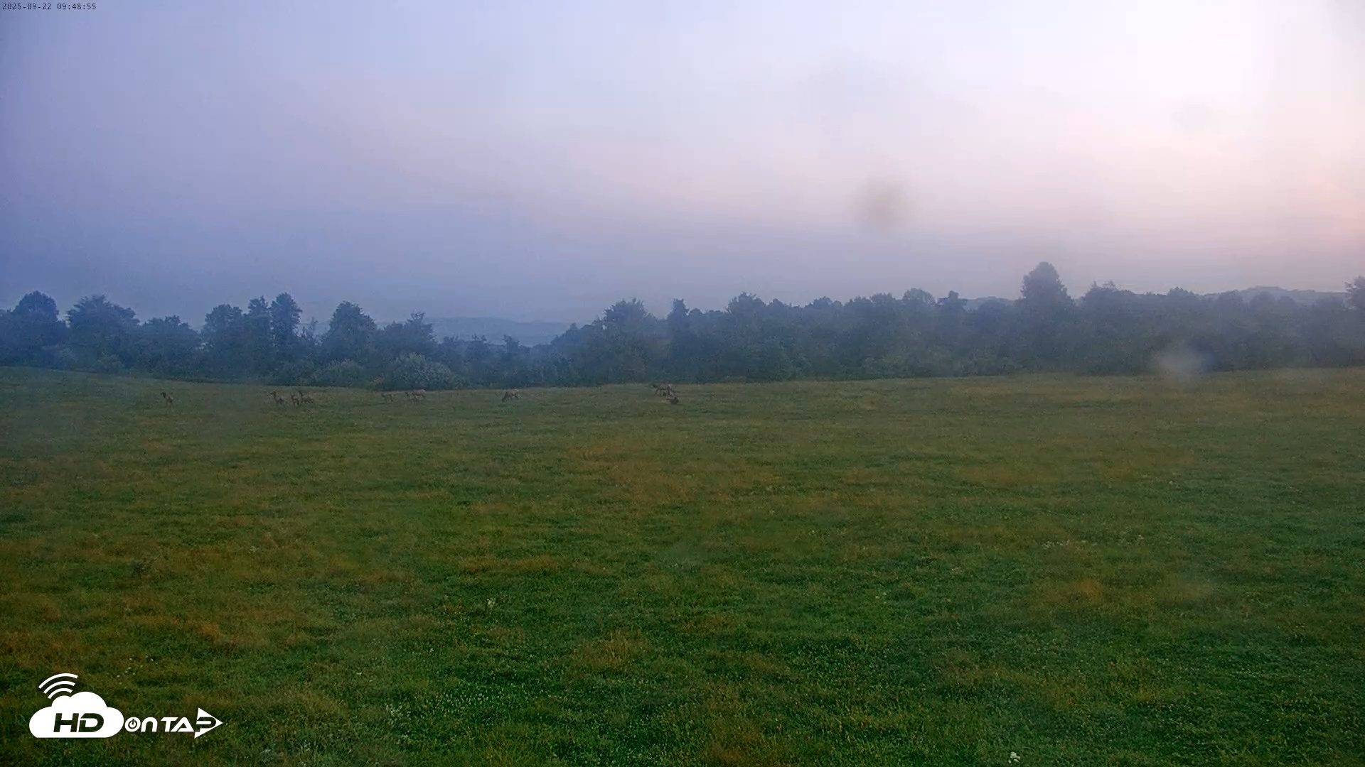 Snapshot of Tennessee Elk Live Webcam taken Sep 22, 2025, 7:24am EDT