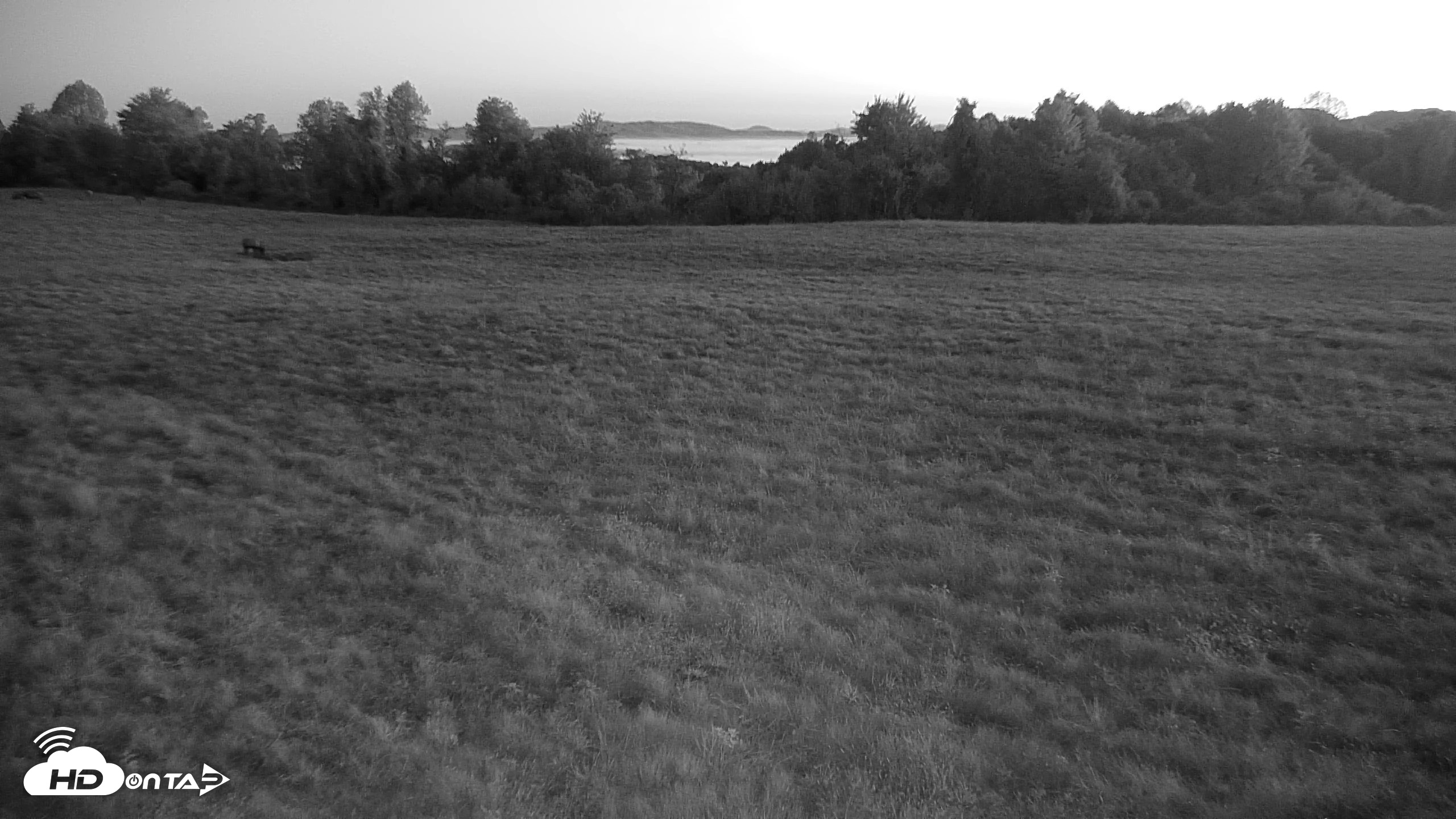 Snapshot of Tennessee Elk Live Webcam taken Oct 8, 2026, 7:09am EDT
