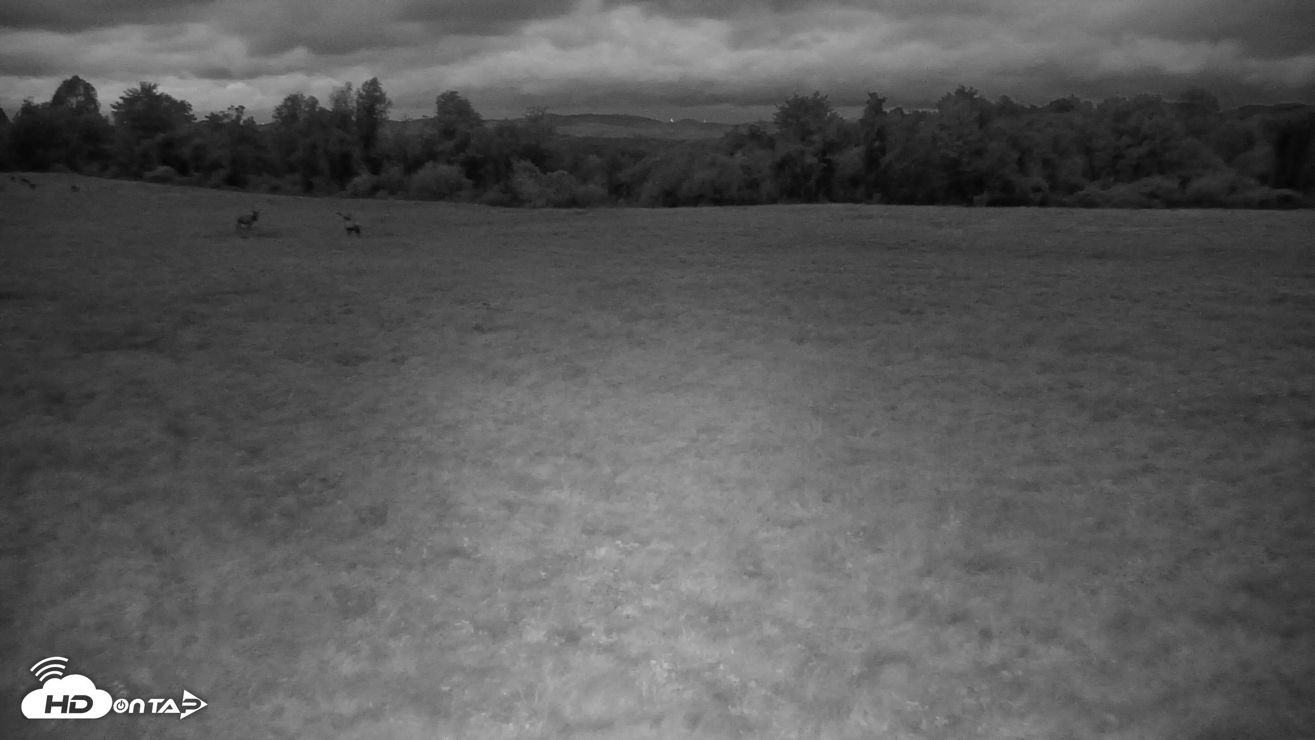 Snapshot of Tennessee Elk Live Webcam taken Oct 16, 2026, 7:30pm EDT