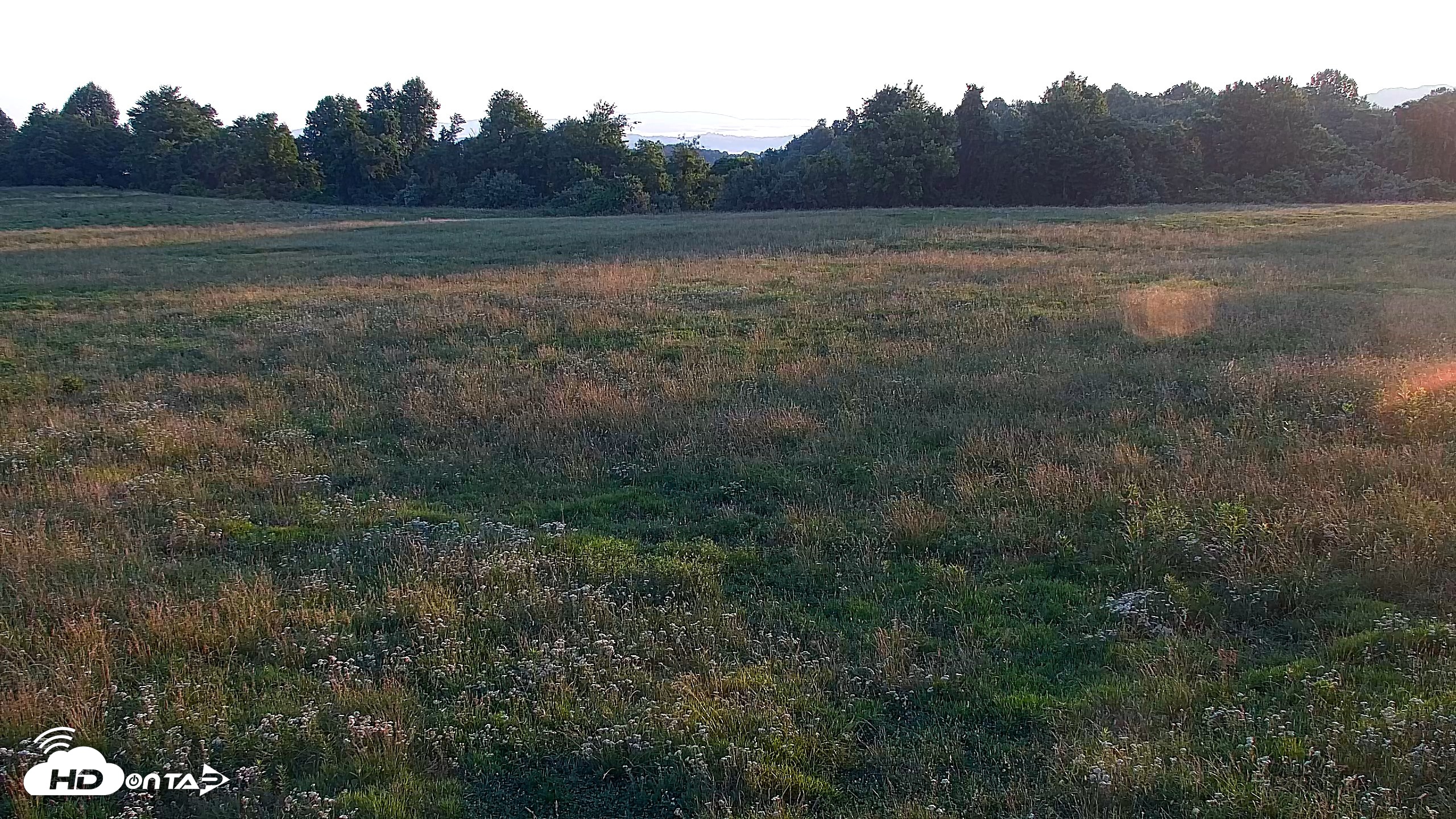 Snapshot of Tennessee Elk Live Webcam taken Jun 12, 2026, 6:45am EDT