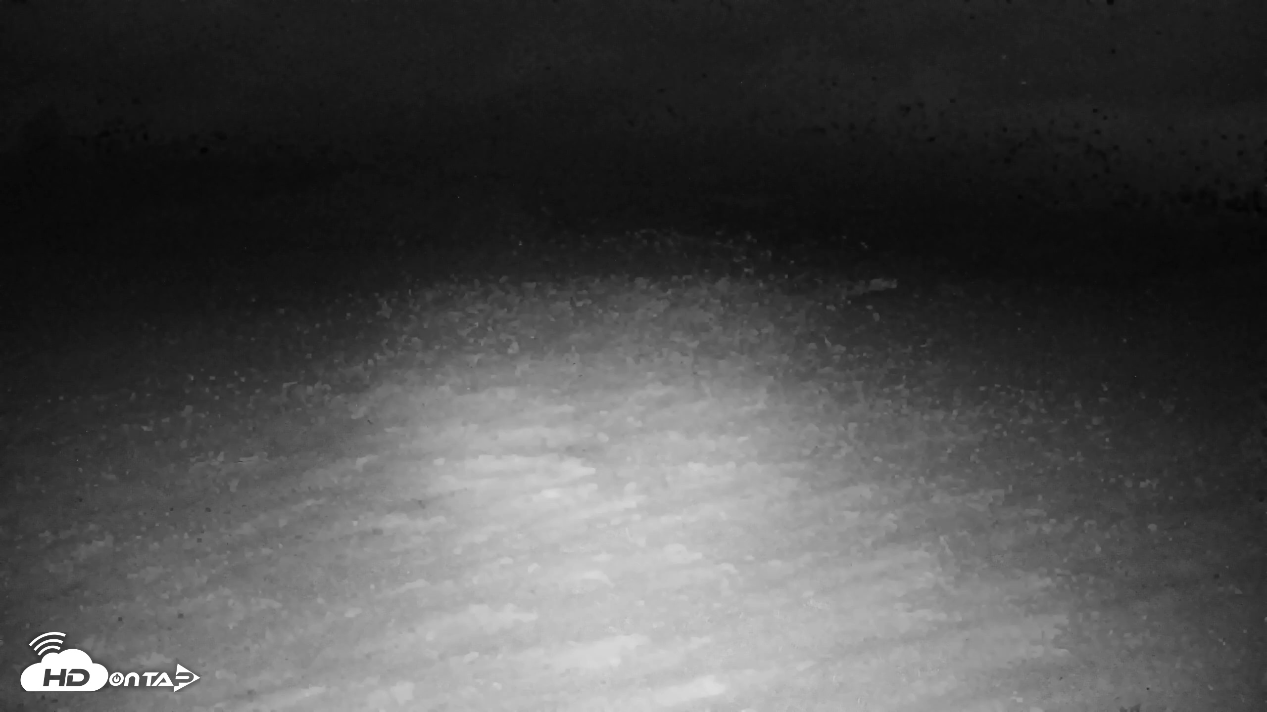 Snapshot of Tennessee Elk Live Webcam taken Oct 16, 2026, 7:46pm EDT