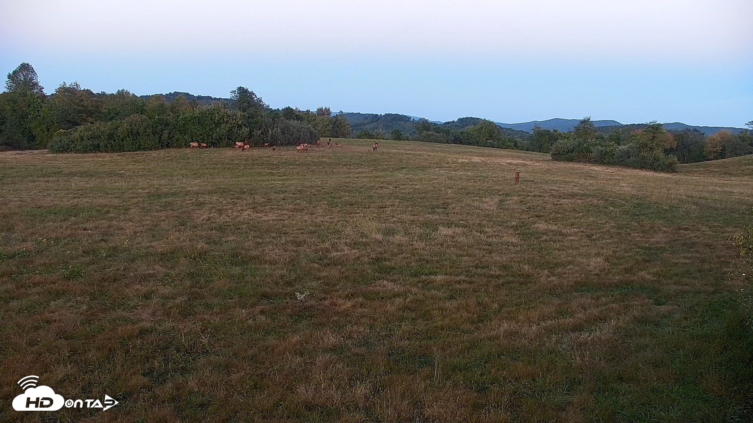 Snapshot of Tennessee Elk Live Webcam taken Oct 8, 2026, 7:20pm EDT