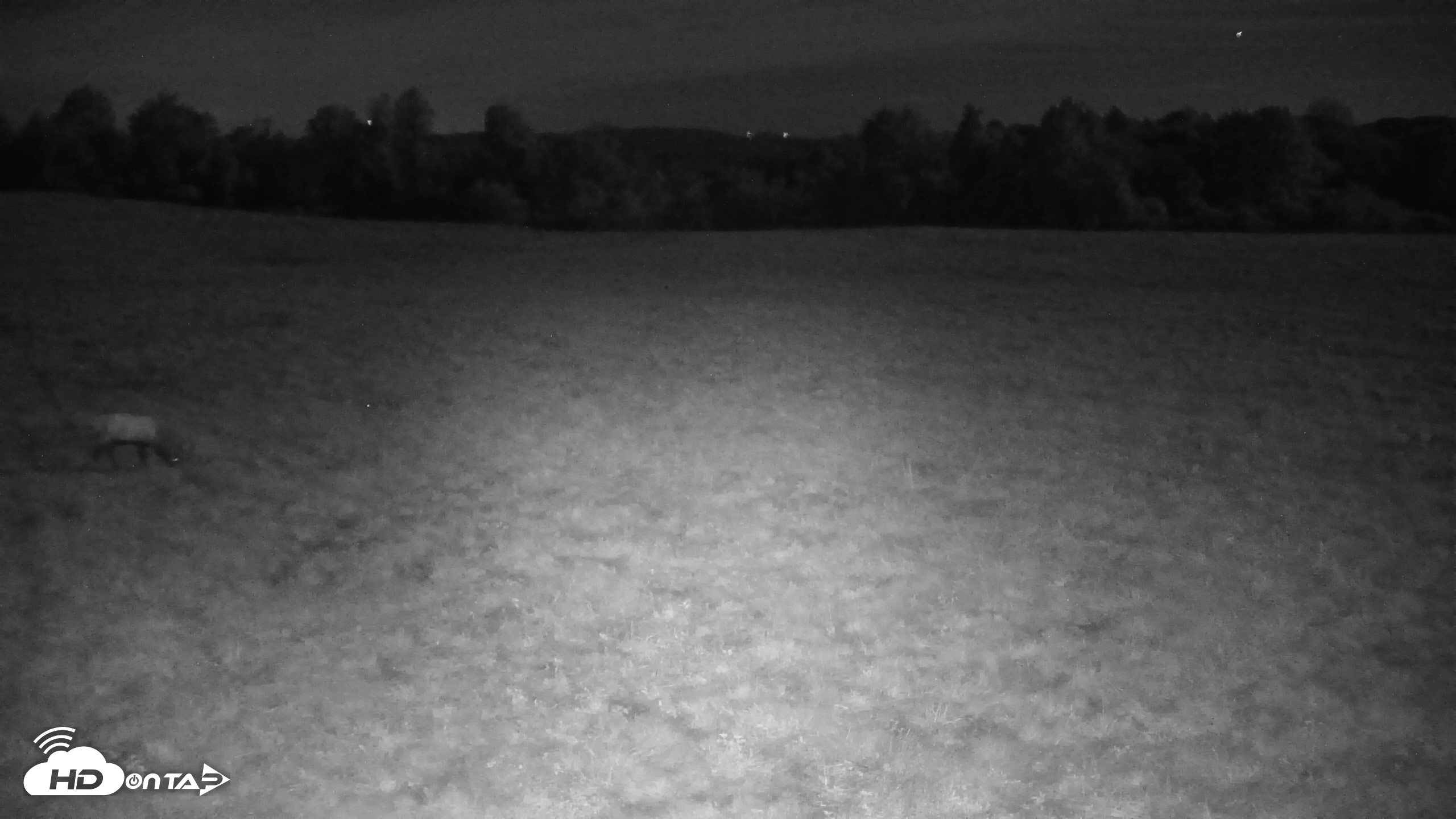 Snapshot of Tennessee Elk Live Webcam taken Oct 24, 2026, 7:56pm EDT