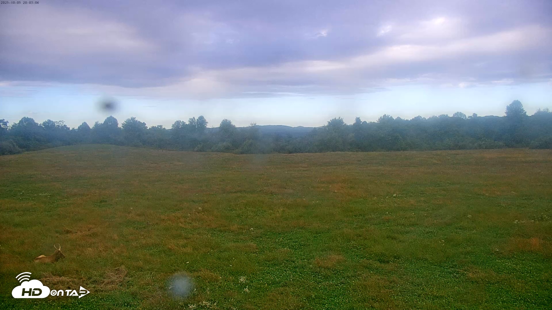 Snapshot of Tennessee Elk Live Webcam taken Oct 5, 2025, 5:39pm EDT