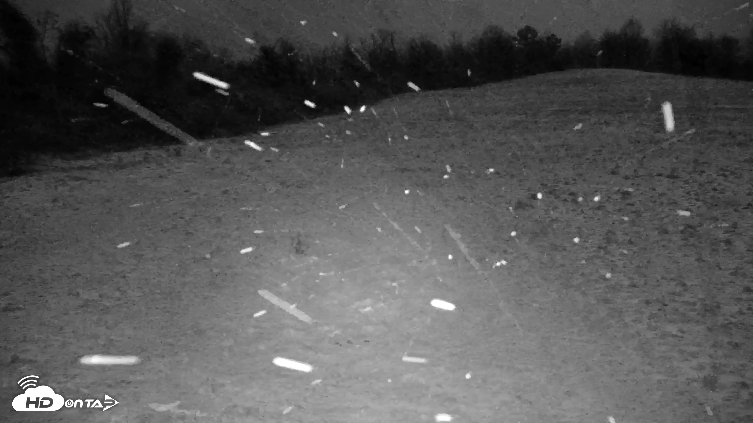 Snapshot of Tennessee Elk Live Webcam taken Feb 23, 2026, 7:00pm EST