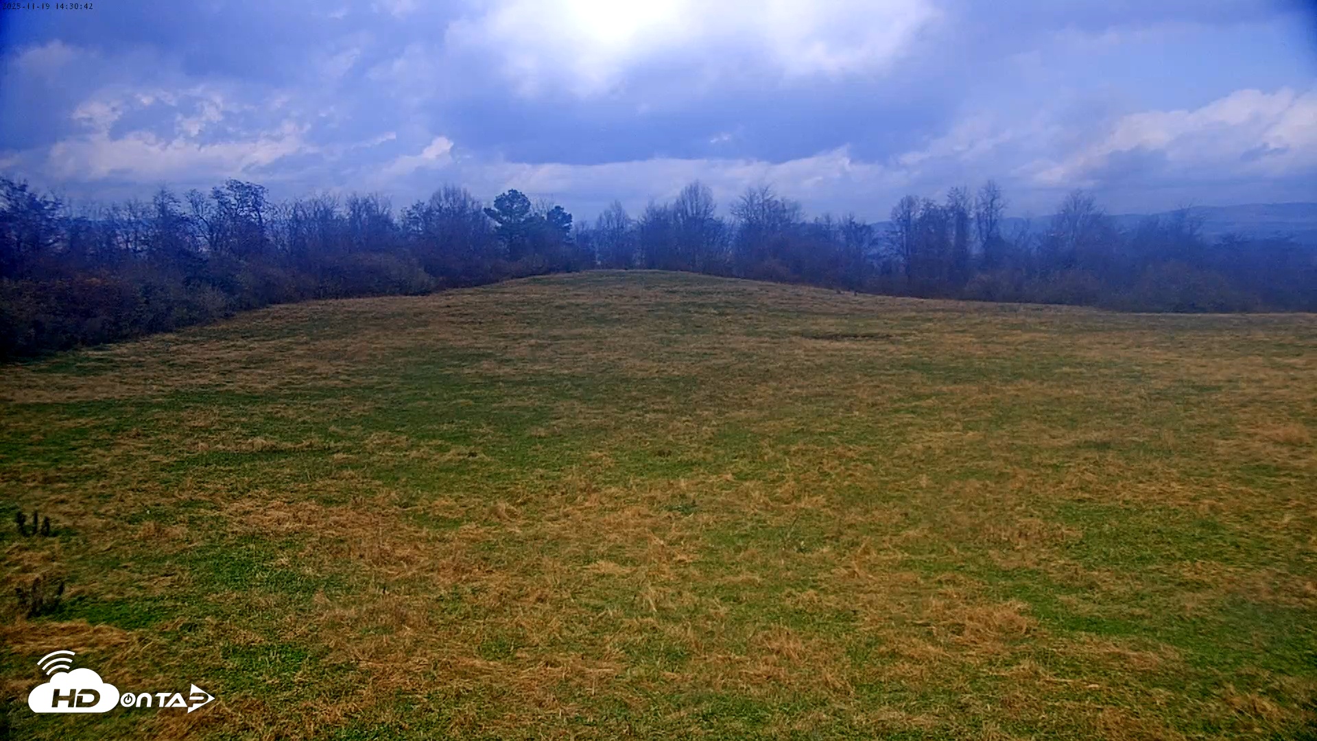 Snapshot of Tennessee Elk Live Webcam taken Nov 19, 2025, 12:06pm EST