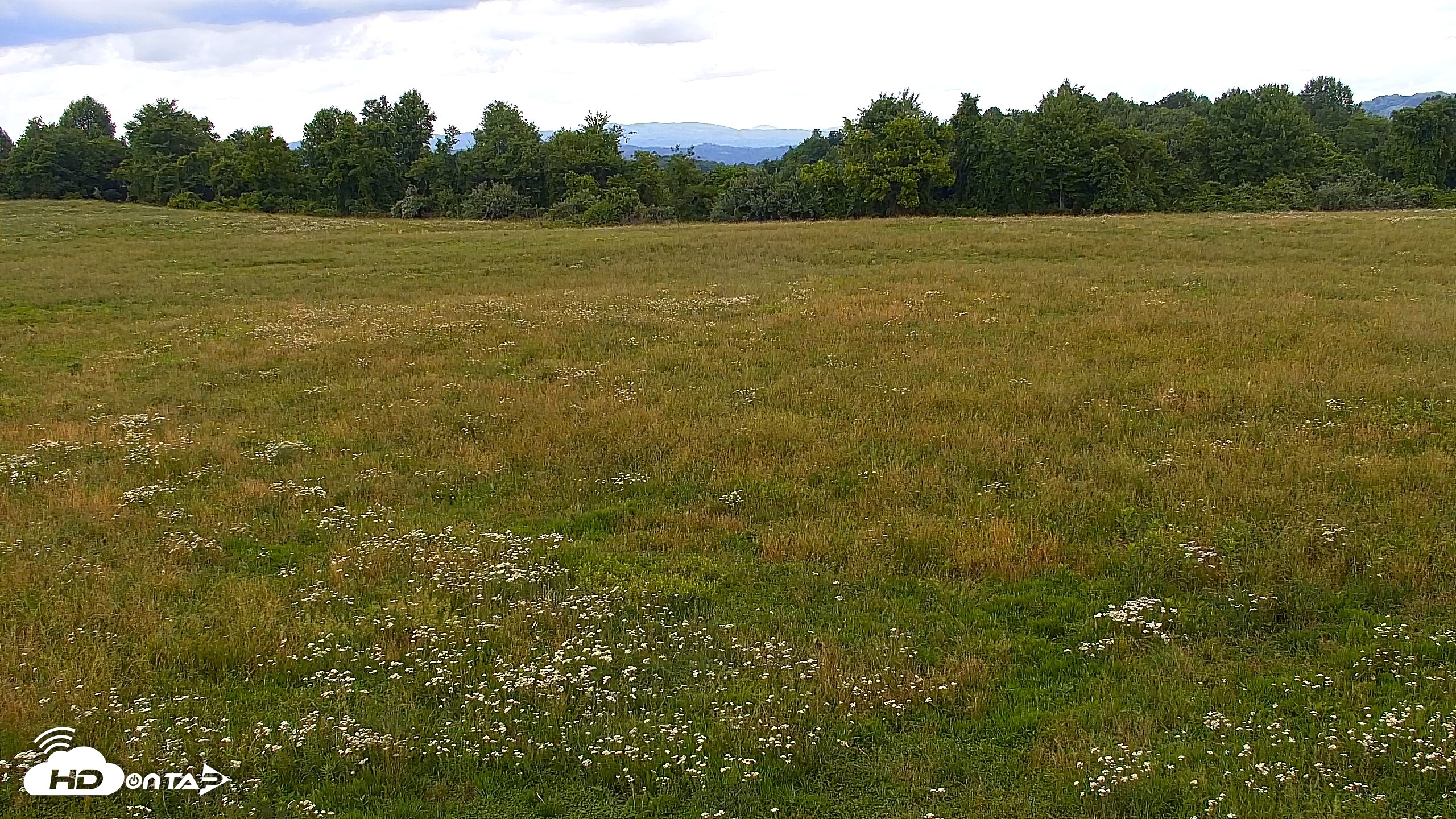 Snapshot of Tennessee Elk Live Webcam taken Jun 1, 2026, 12:58pm EDT