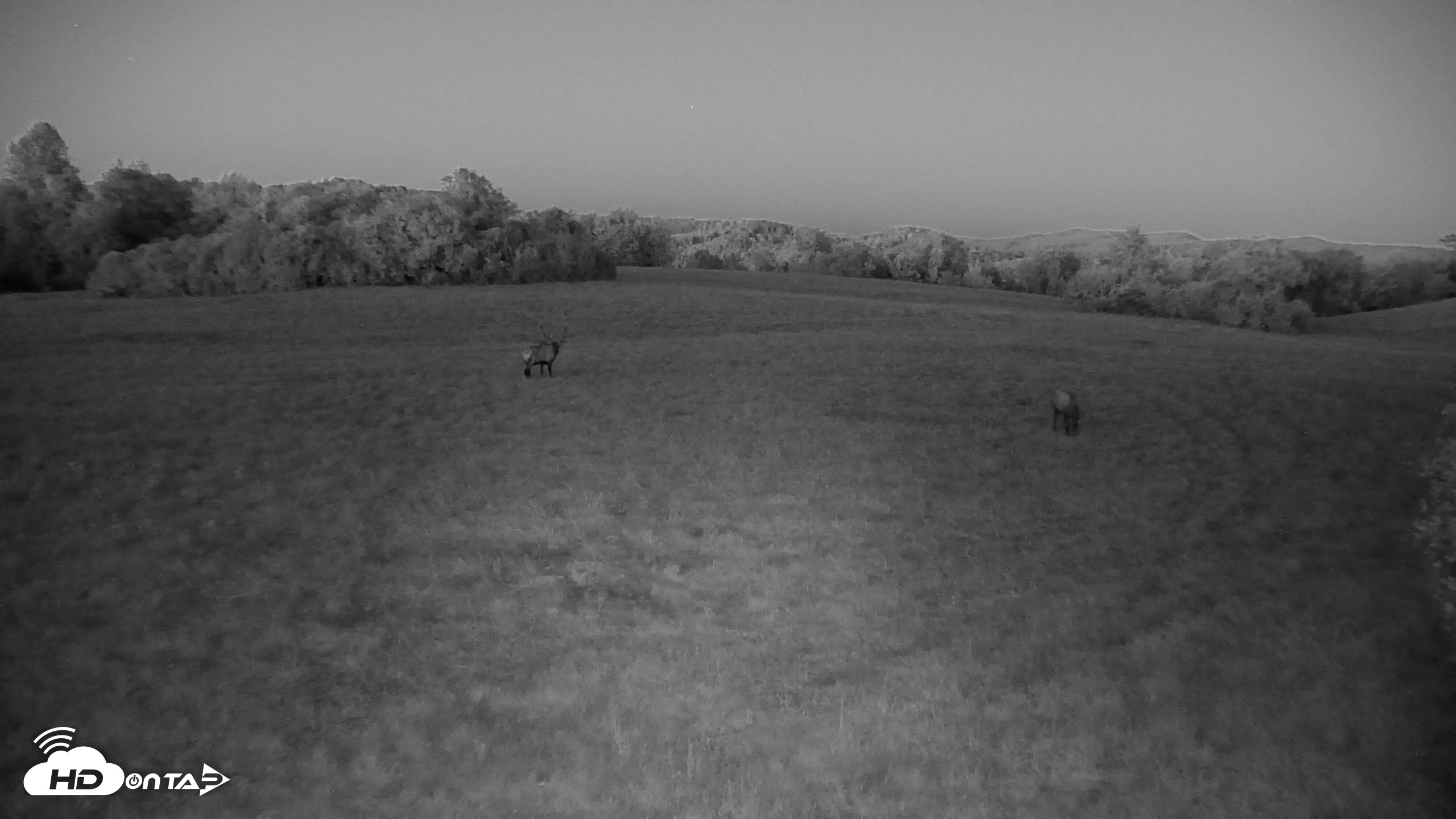 Snapshot of Tennessee Elk Live Webcam taken Oct 6, 2026, 7:52pm EDT