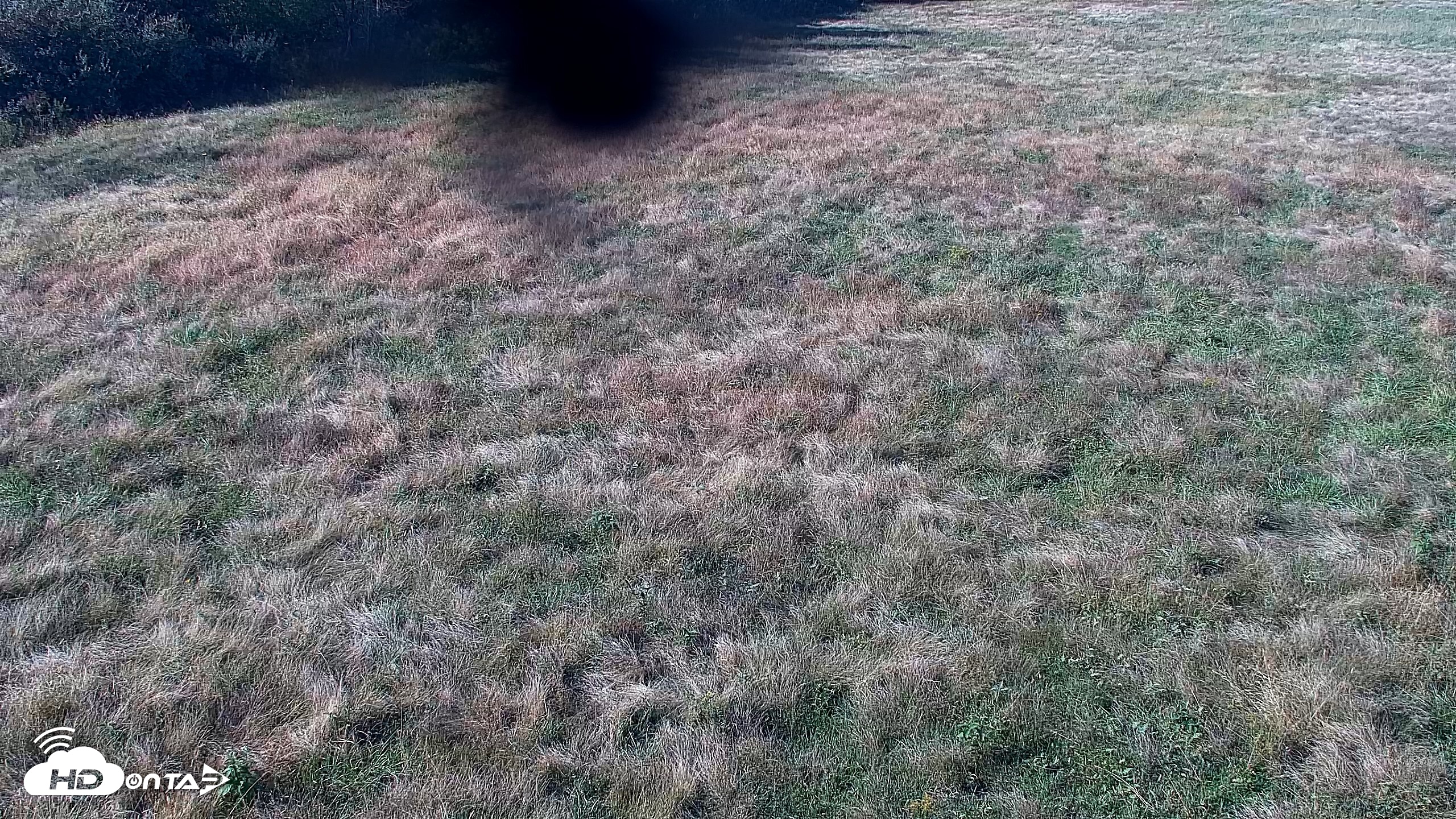 Snapshot of Tennessee Elk Live Webcam taken Oct 14, 2026, 3:58pm EDT