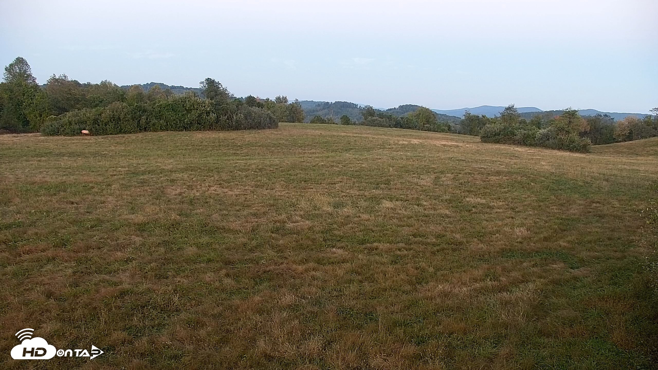 Snapshot of Tennessee Elk Live Webcam taken Oct 12, 2026, 7:17pm EDT