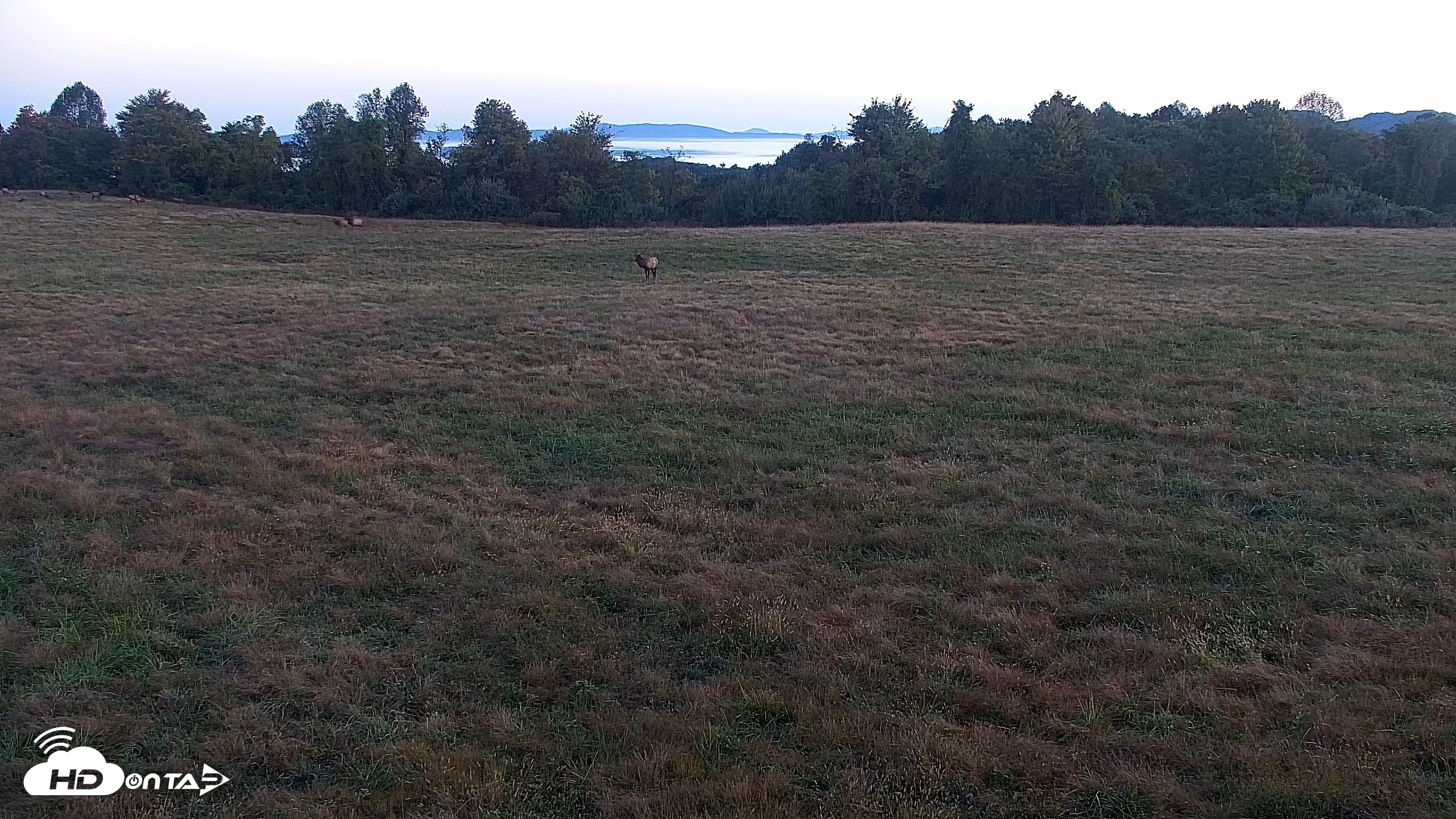 Snapshot of Tennessee Elk Live Webcam taken Oct 8, 2026, 7:32am EDT