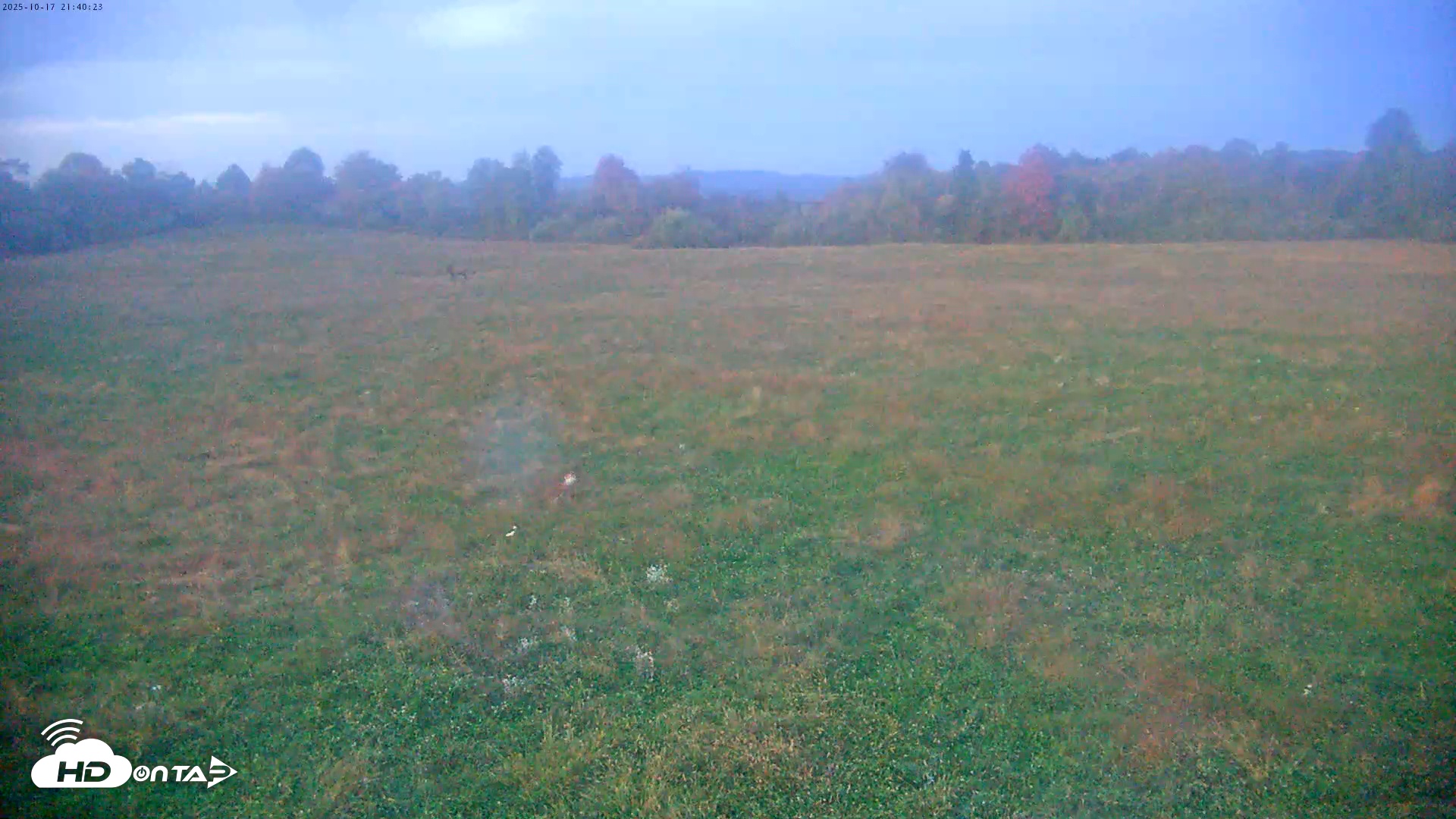 Snapshot of Tennessee Elk Live Webcam taken Oct 17, 2025, 7:16pm EDT