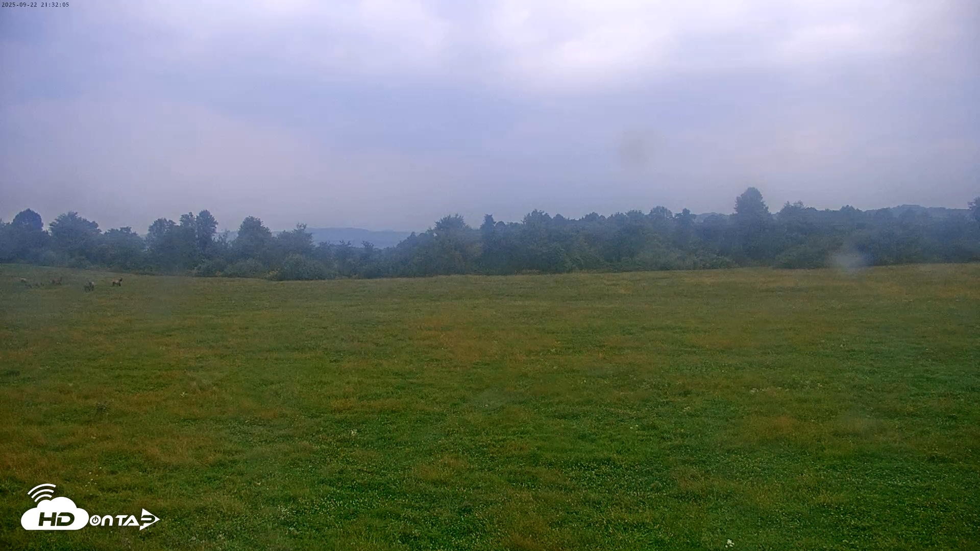 Snapshot of Tennessee Elk Live Webcam taken Sep 22, 2025, 7:07pm EDT