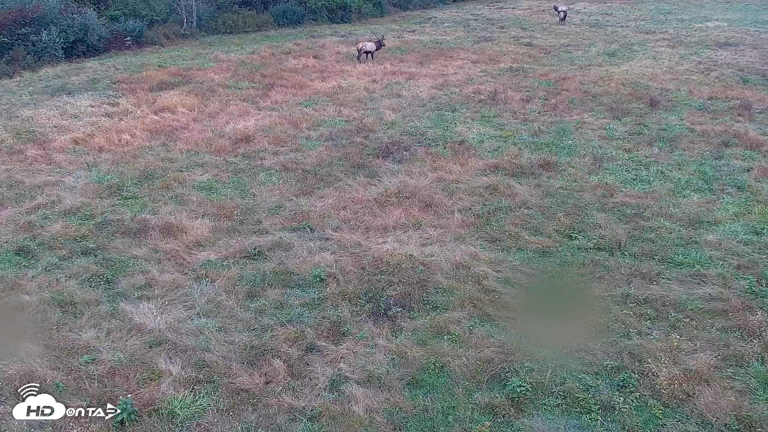 Snapshot of Tennessee Elk Live Webcam taken Oct 17, 2026, 8:54am EDT