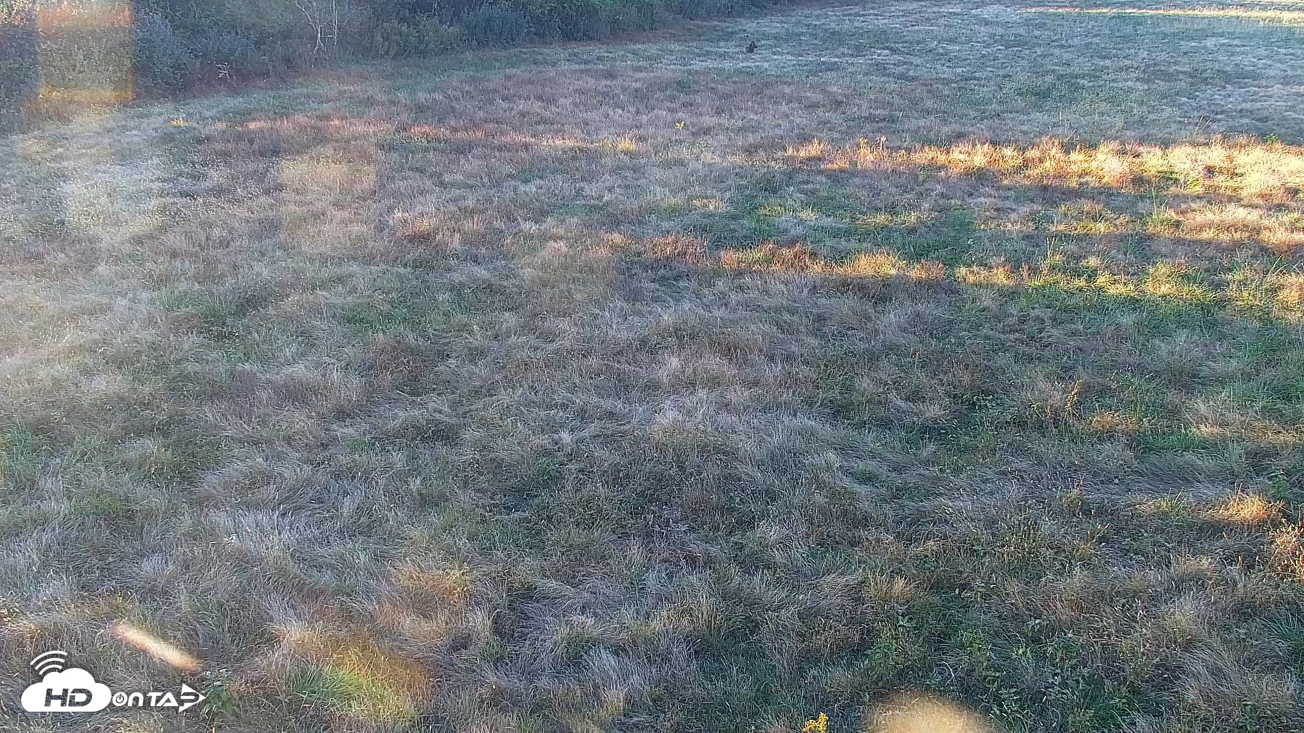 Snapshot of Tennessee Elk Live Webcam taken Oct 23, 2026, 6:04pm EDT