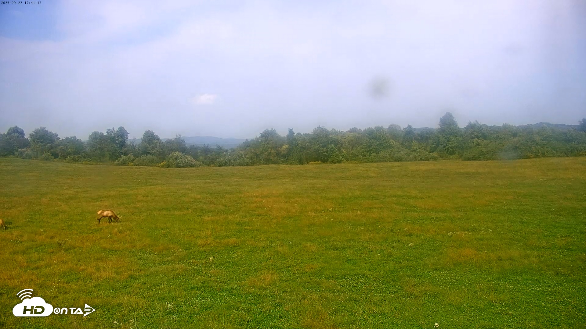 Snapshot of Tennessee Elk Live Webcam taken Sep 22, 2025, 3:17pm EDT