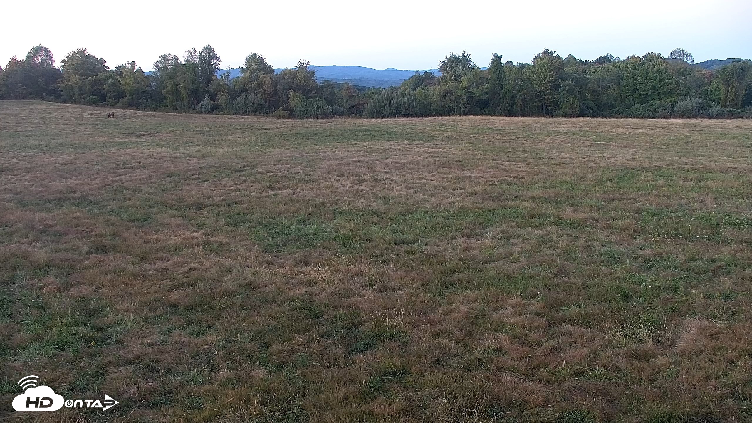 Snapshot of Tennessee Elk Live Webcam taken Oct 6, 2026, 7:23pm EDT