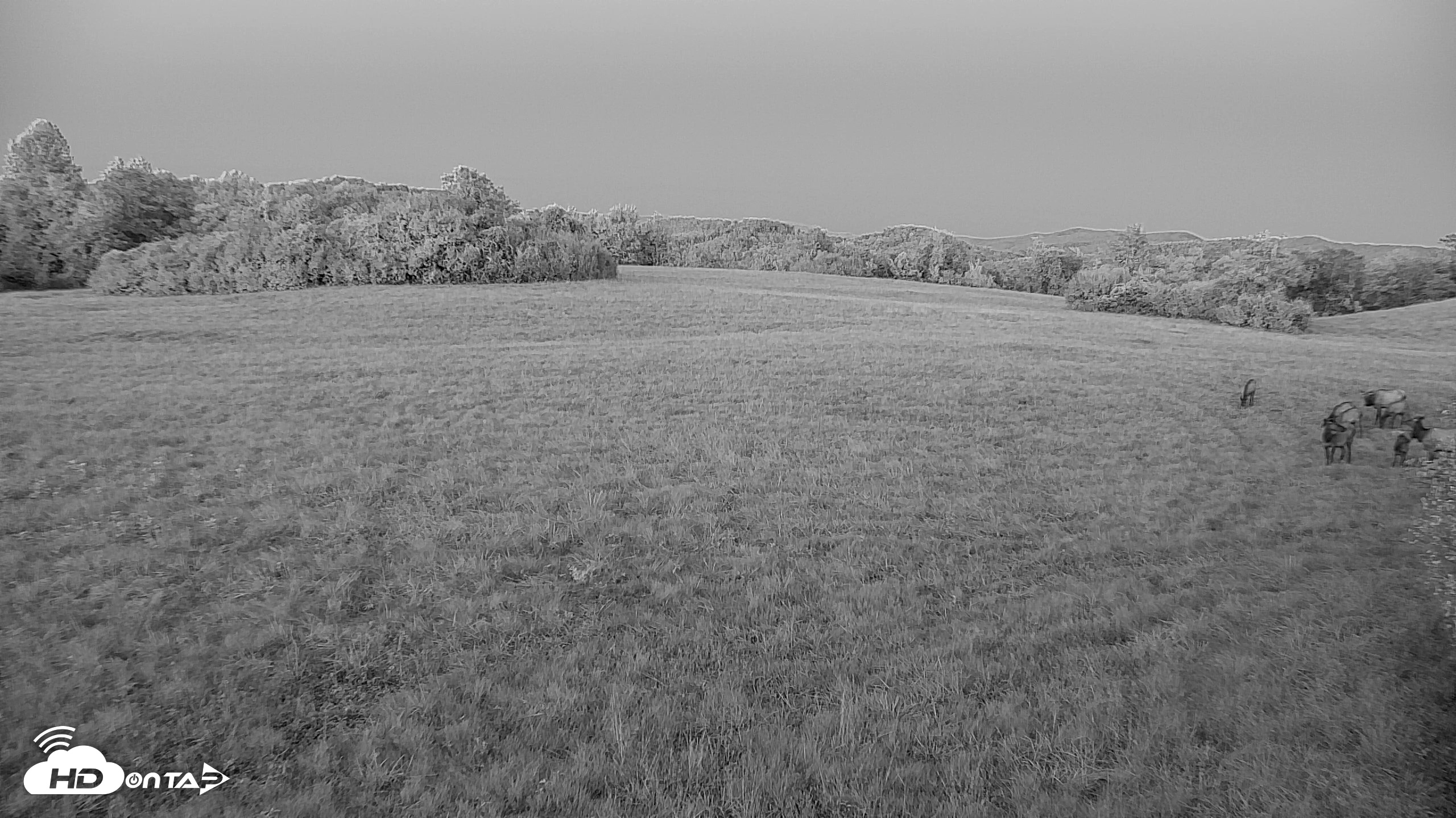 Snapshot of Tennessee Elk Live Webcam taken Oct 7, 2026, 7:26pm EDT