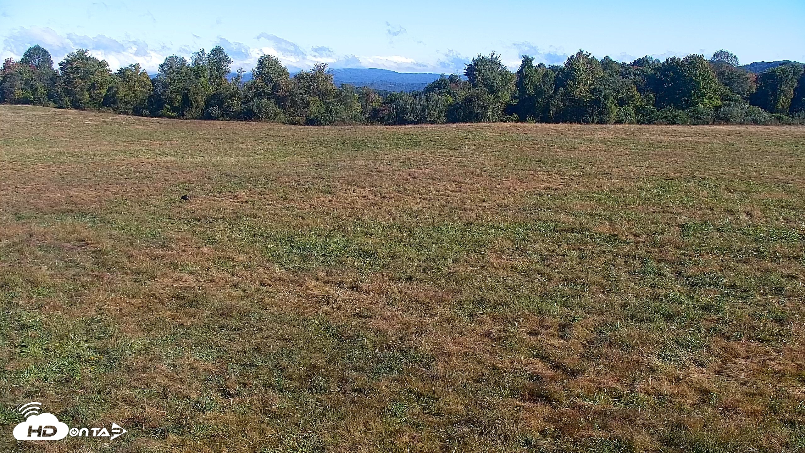 Snapshot of Tennessee Elk Live Webcam taken Oct 5, 2026, 10:24am EDT