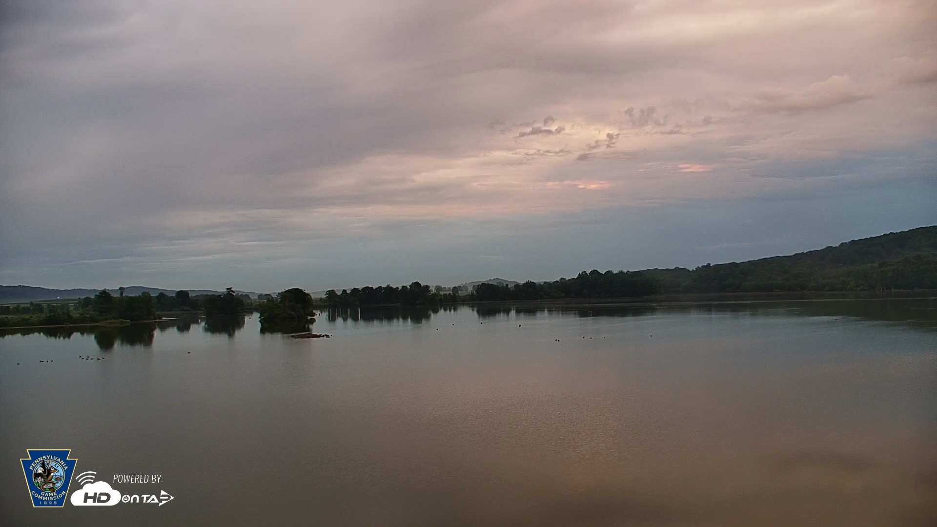 Snapshot of Pennsylvania Snow Geese Live Webcam taken Jun 27, 2026, 5:40am EDT