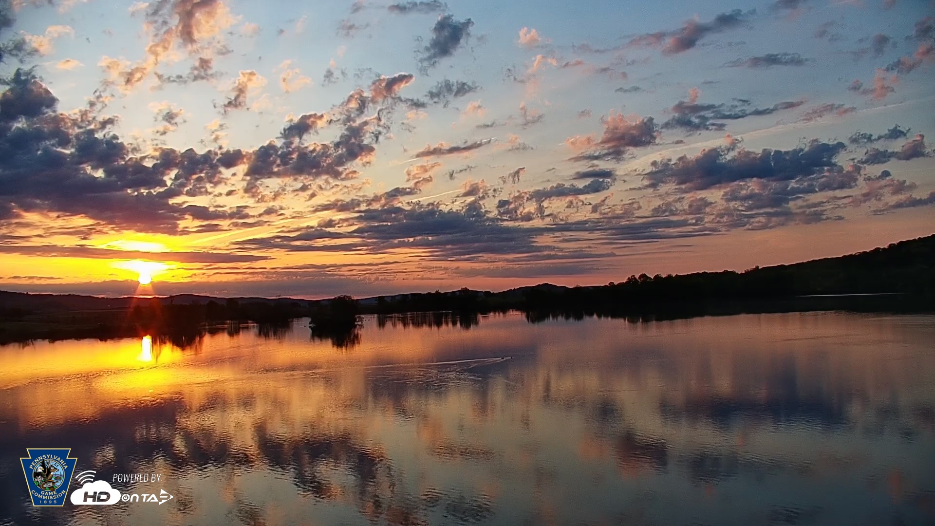 Snapshot of Pennsylvania Snow Geese Live Webcam taken Apr 24, 2026, 6:26am EDT