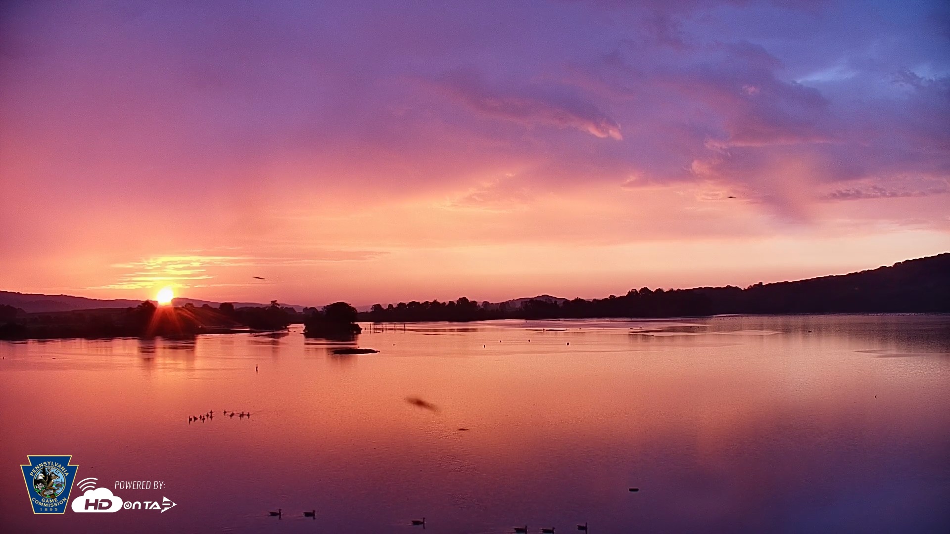 Snapshot of Pennsylvania Snow Geese Live Webcam taken Aug 24, 2026, 6:32am EDT