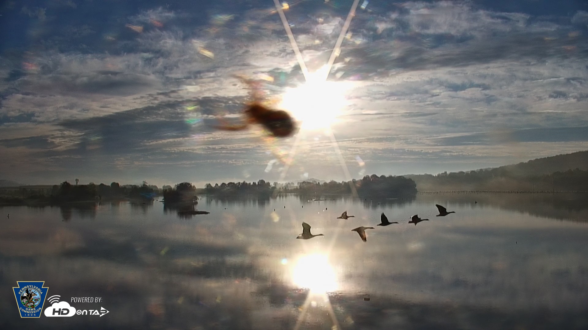 Snapshot of Pennsylvania Snow Geese Live Webcam taken Sep 26, 2025, 7:49am EDT