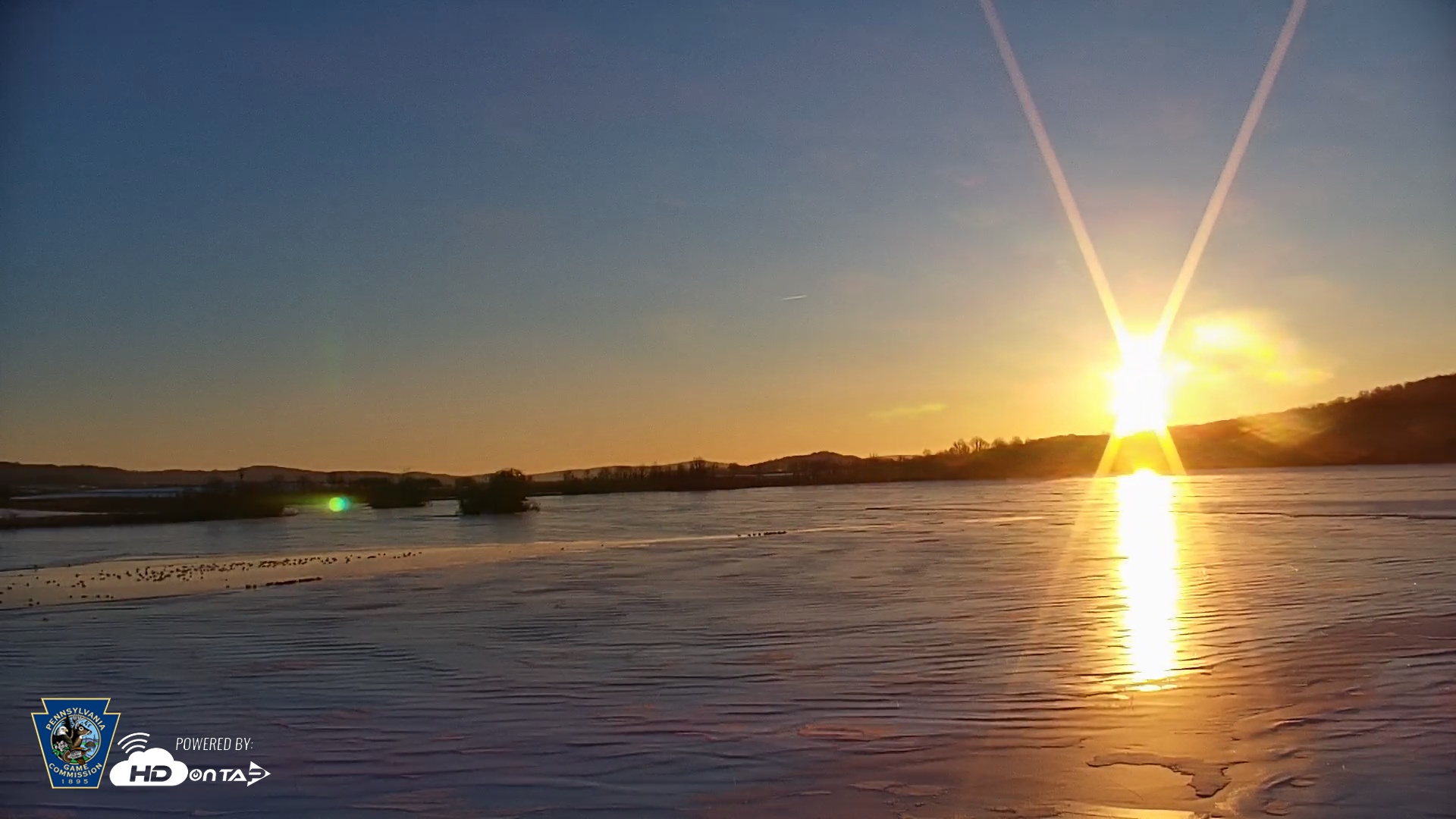 Snapshot of Pennsylvania Snow Geese Live Webcam taken Feb 9, 2026, 7:26am EST