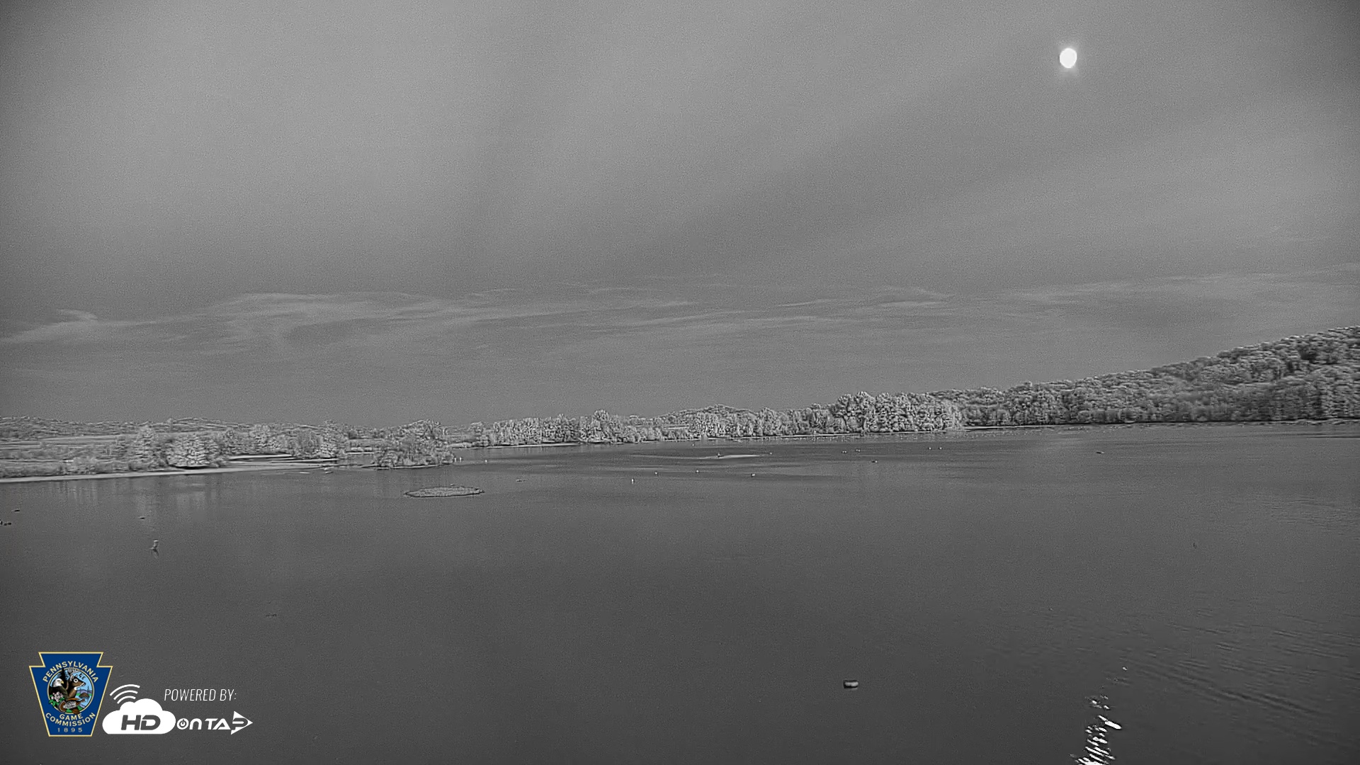 Snapshot of Pennsylvania Snow Geese Live Webcam taken Oct 4, 2025, 6:58pm EDT