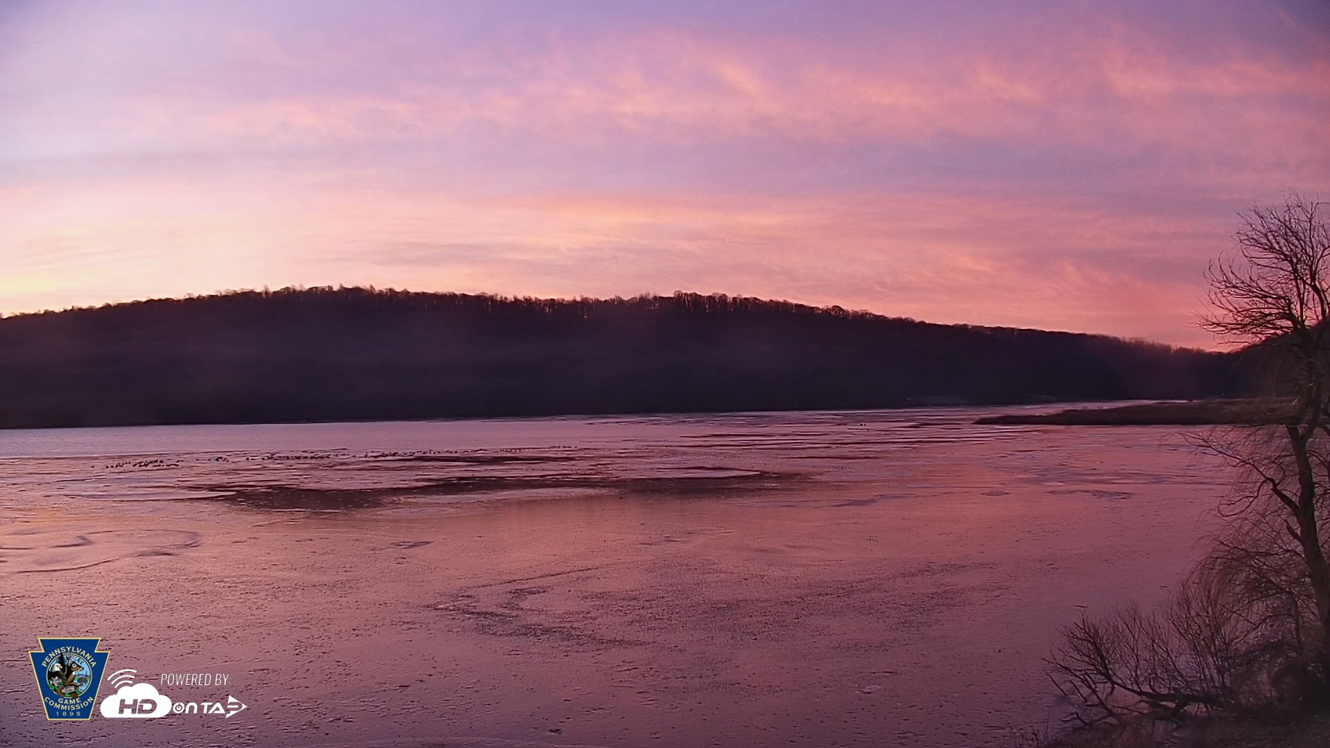 Snapshot of Pennsylvania Snow Geese Live Webcam taken Dec 20, 2025, 7:17am EST