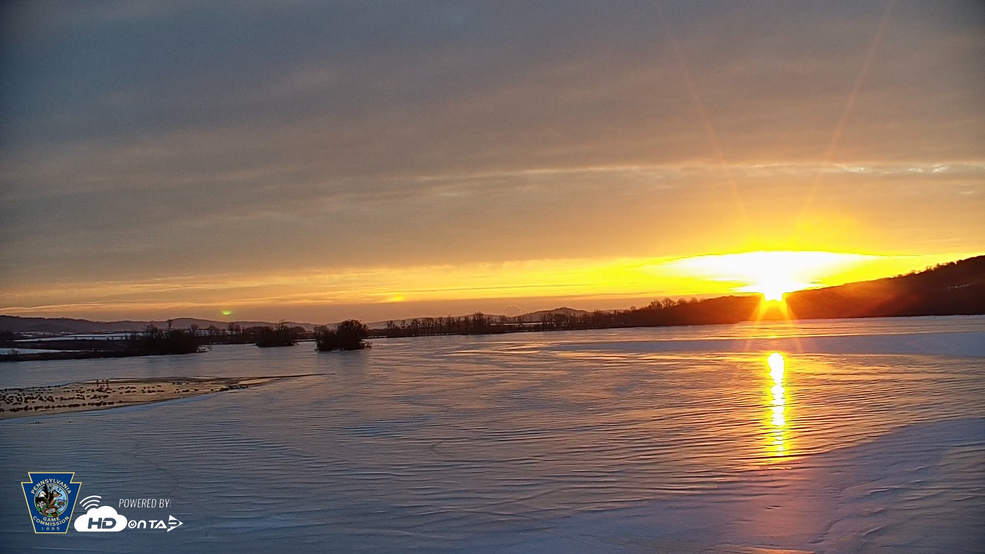 Snapshot of Pennsylvania Snow Geese Live Webcam taken Feb 6, 2026, 7:20am EST
