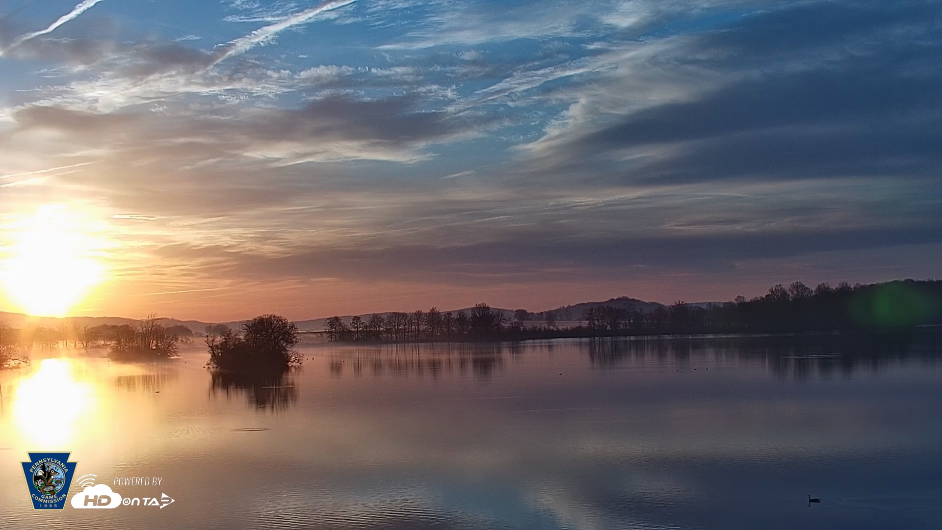 Snapshot of Pennsylvania Snow Geese Live Webcam taken Apr 14, 2026, 6:41am EDT