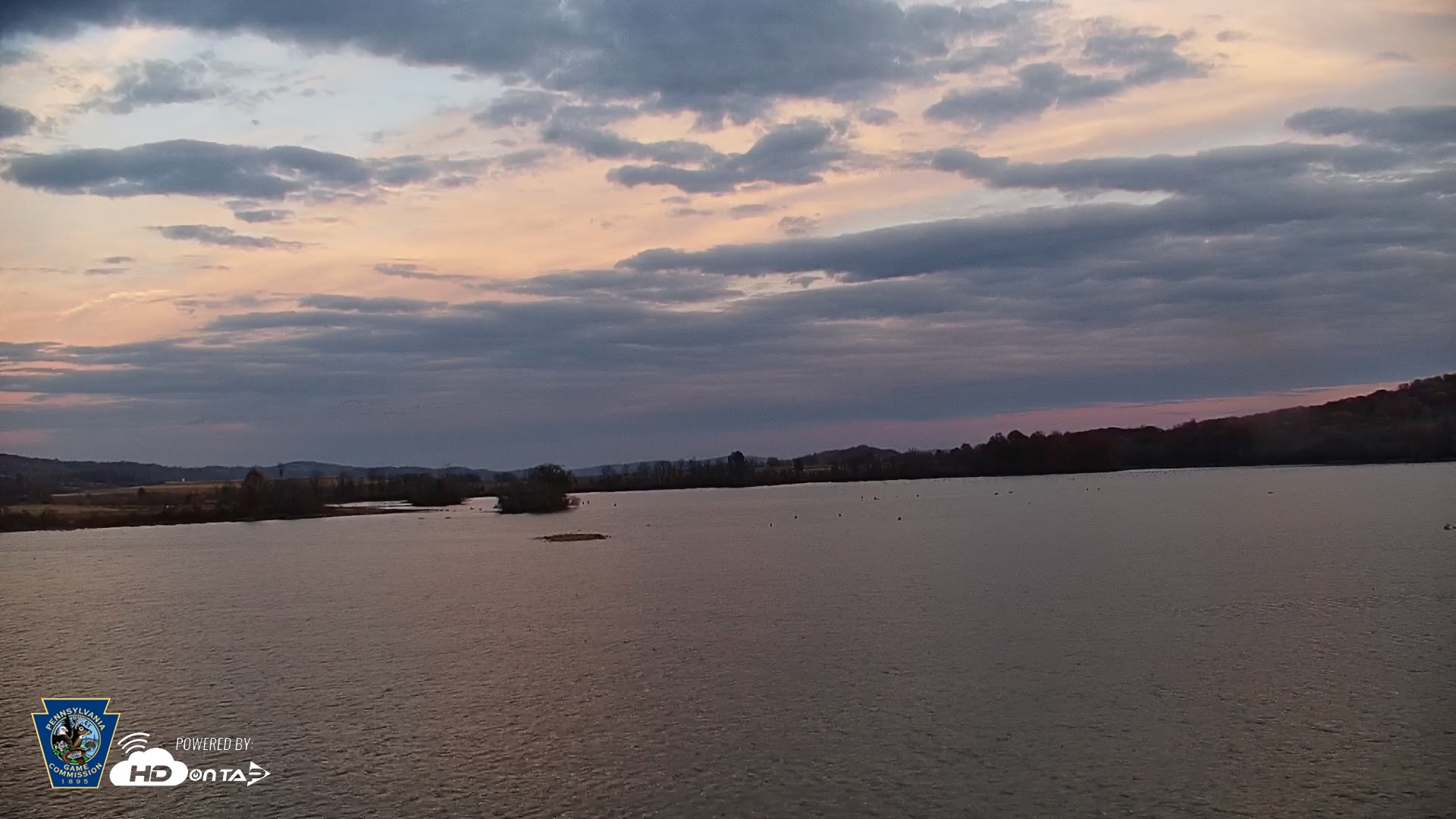 Snapshot of Pennsylvania Snow Geese Live Webcam taken Nov 5, 2025, 4:56pm EST