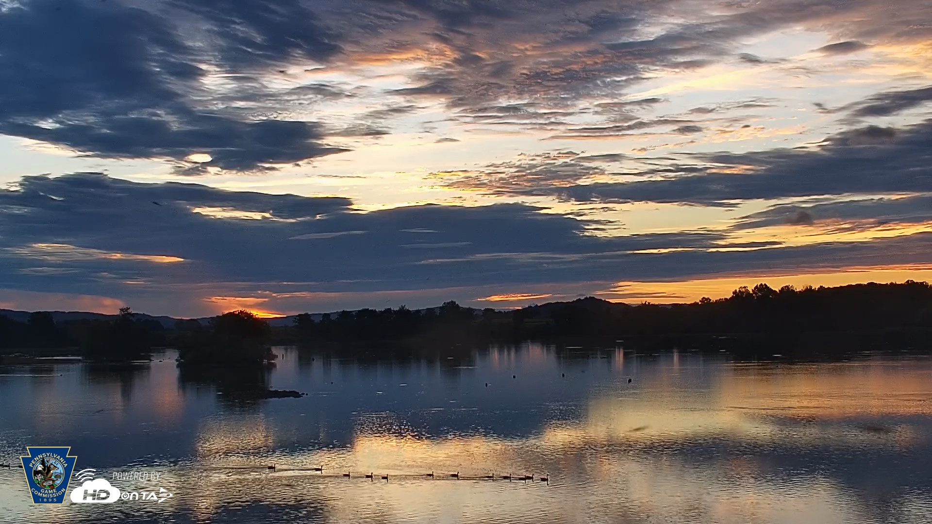 Snapshot of Pennsylvania Snow Geese Live Webcam taken Sep 21, 2026, 6:50am EDT