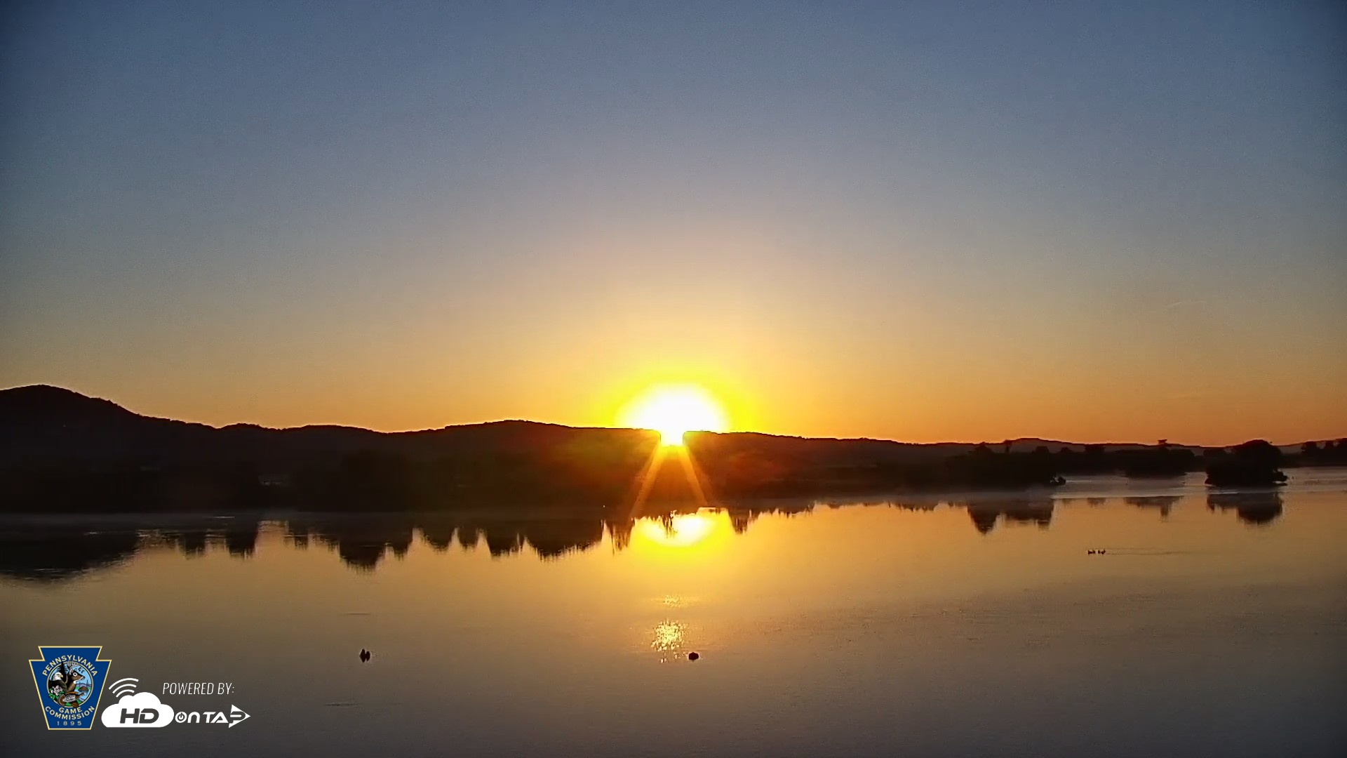 Snapshot of Pennsylvania Snow Geese Live Webcam taken Jun 4, 2026, 5:50am EDT