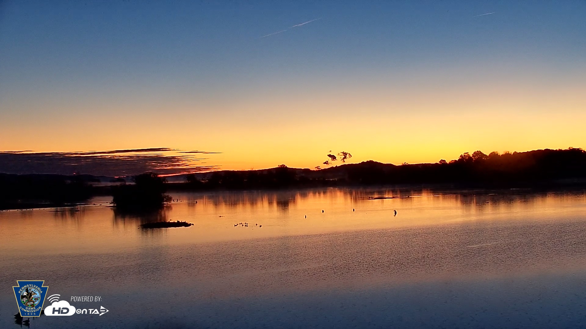 Snapshot of Pennsylvania Snow Geese Live Webcam taken Oct 26, 2025, 7:01am EDT
