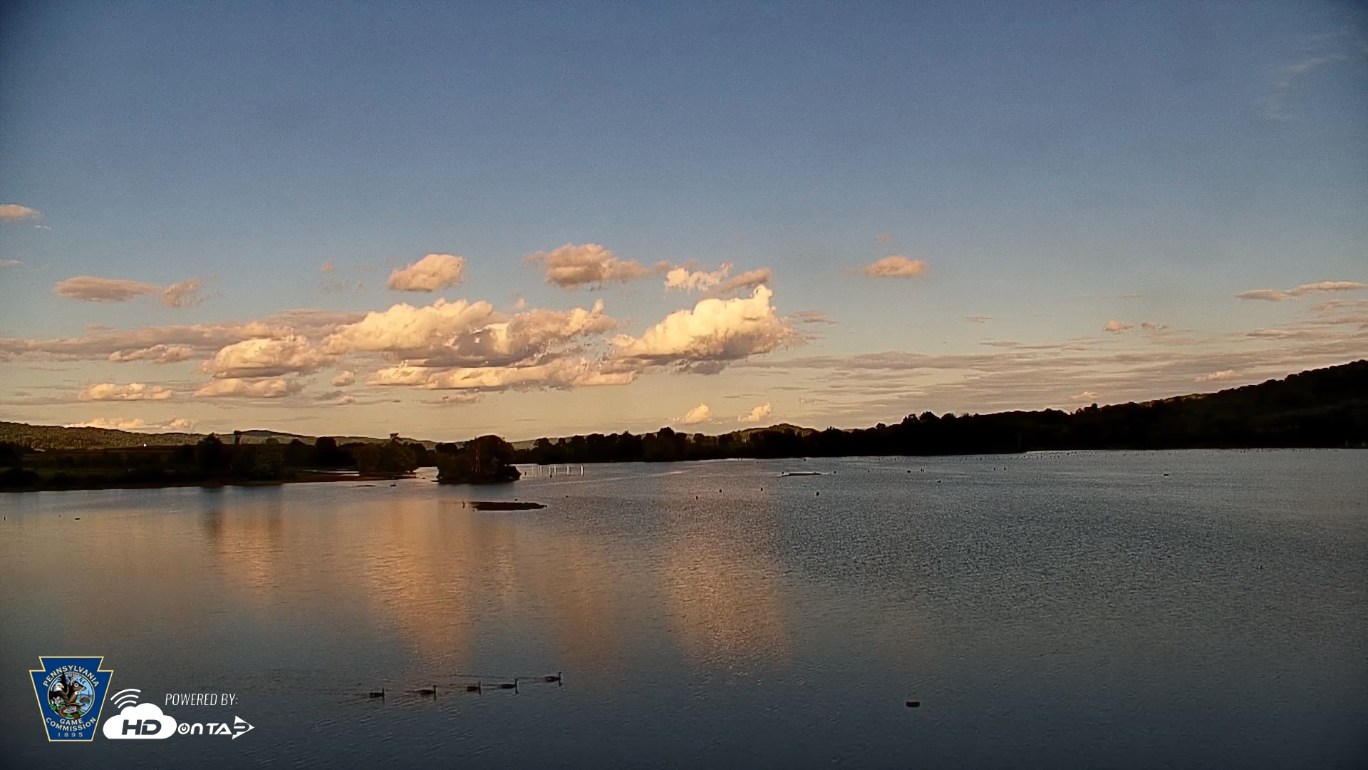 Snapshot of Pennsylvania Snow Geese Live Webcam taken Aug 25, 2026, 6:17pm EDT